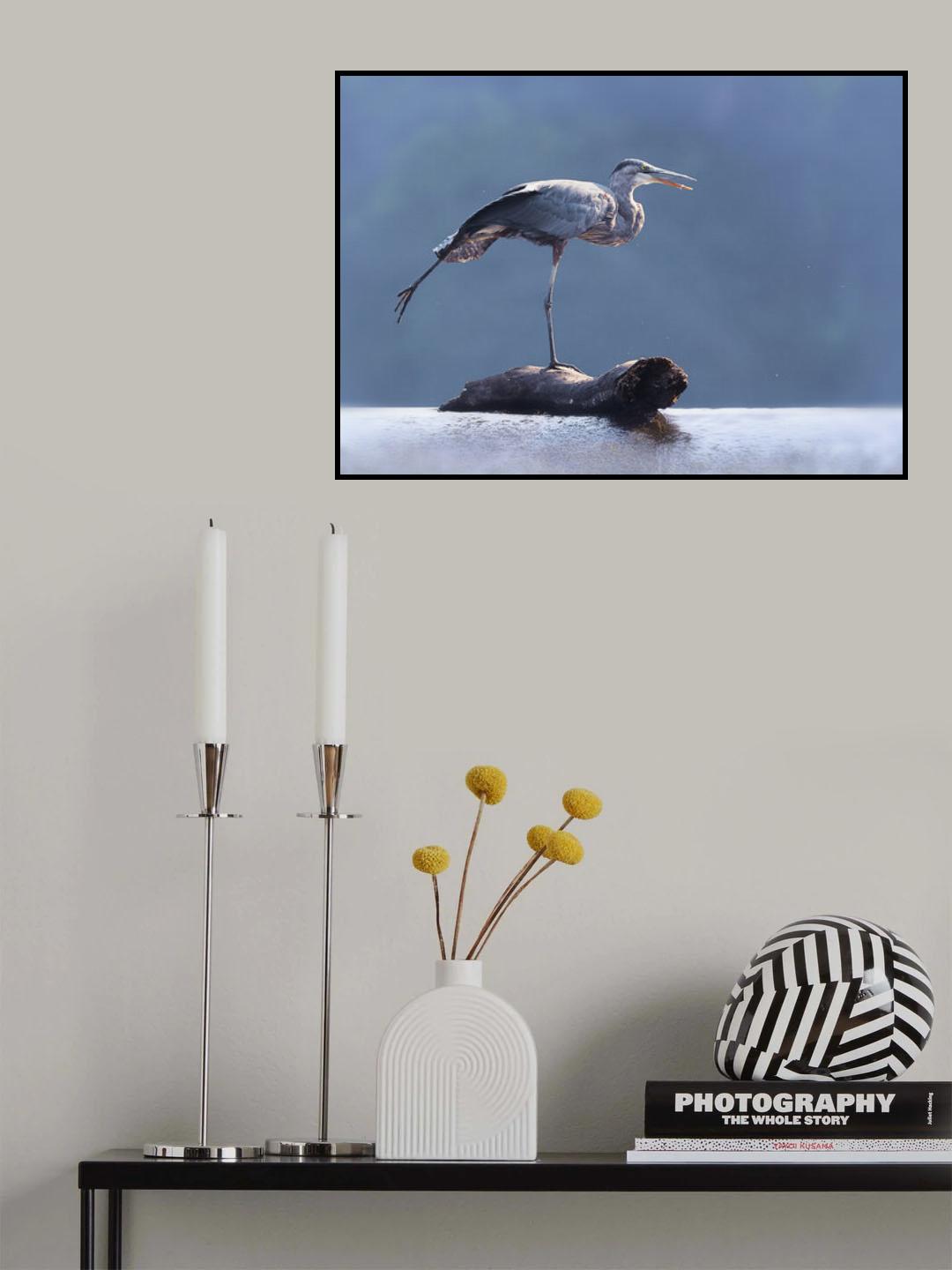 Blue Heron Doing Yoga Poster och Canvastavla