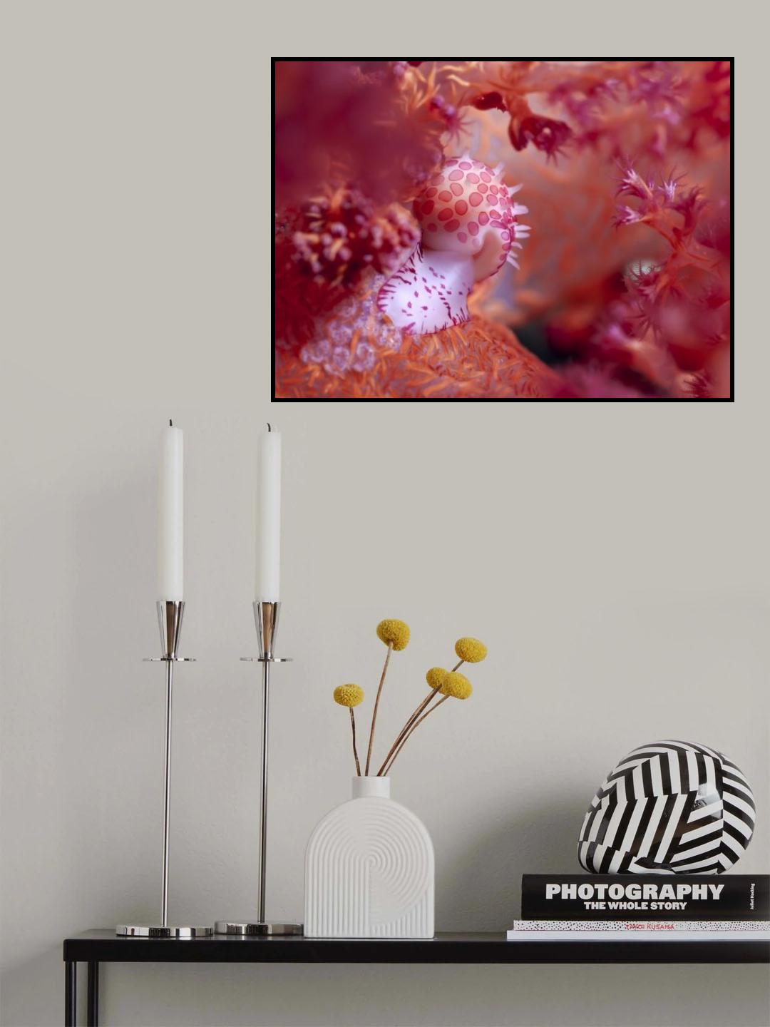 Pink Dream Poster och Canvastavla