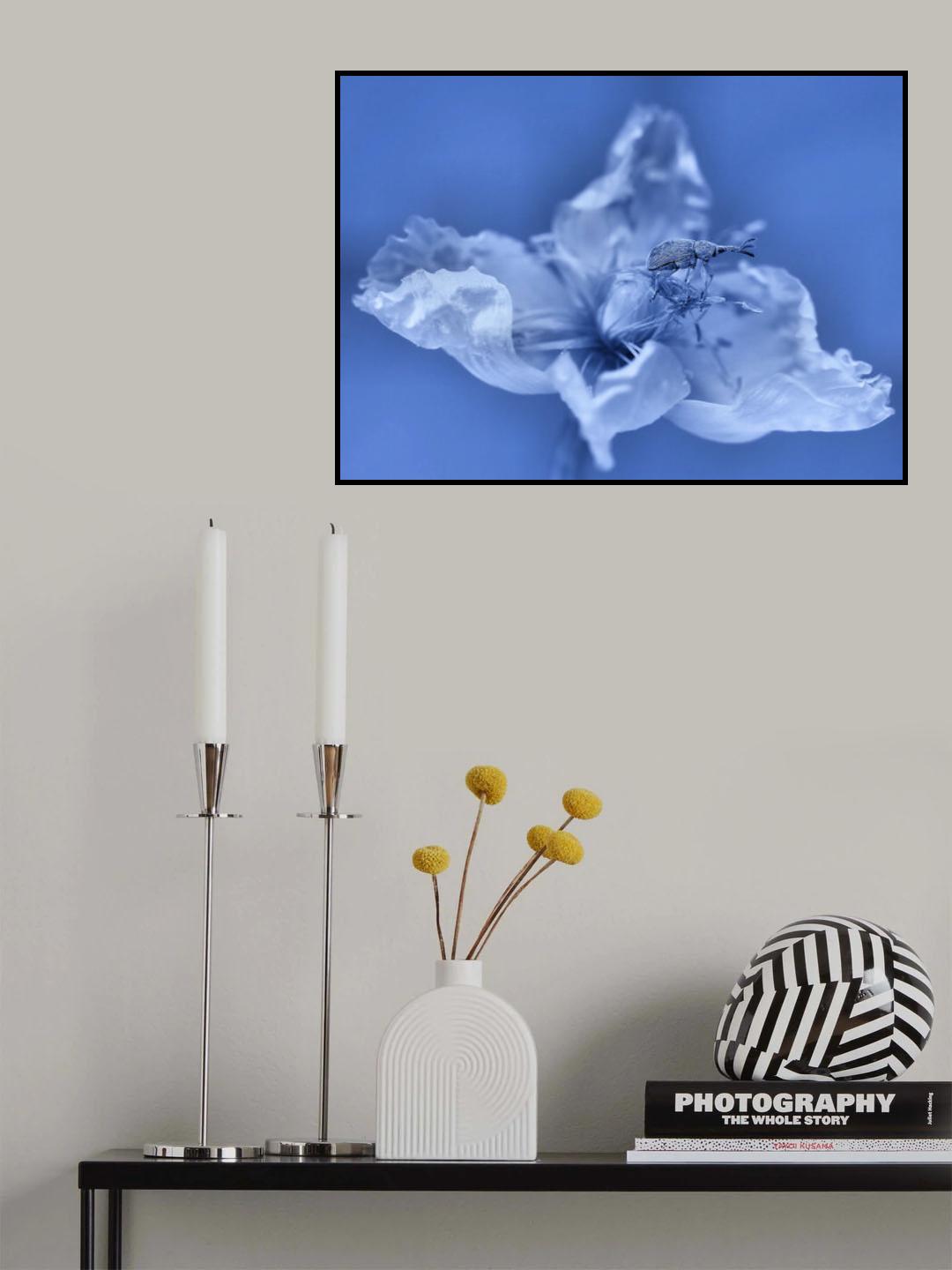 Space station... Poster och Canvastavla
