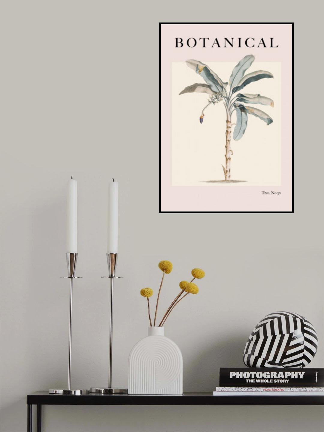 Botanical Palm Poster och Canvastavla