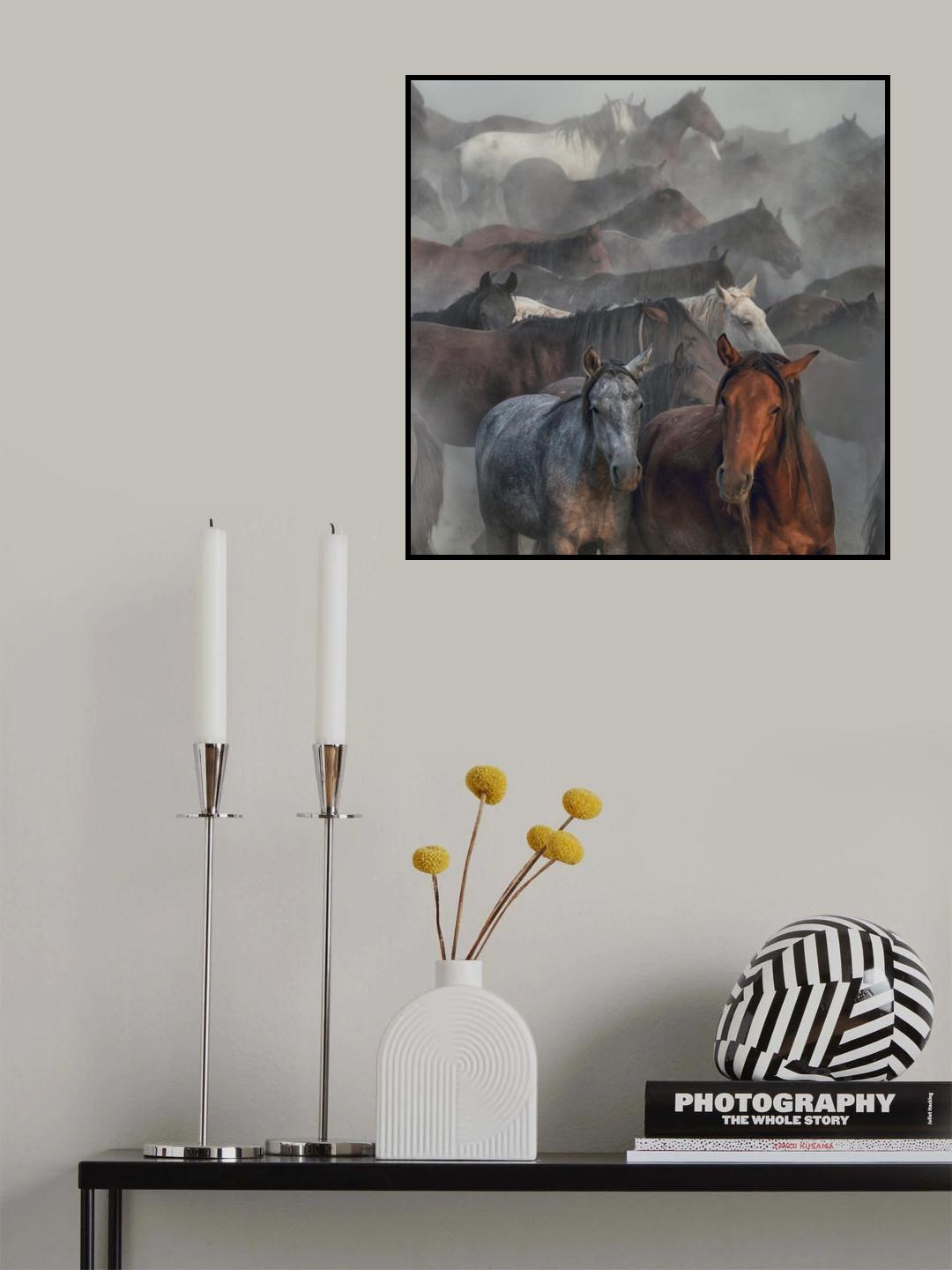 Two Horses Poster och Canvastavla
