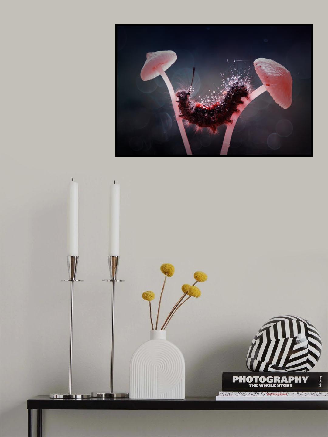 Among Mushrooms Poster och Canvastavla