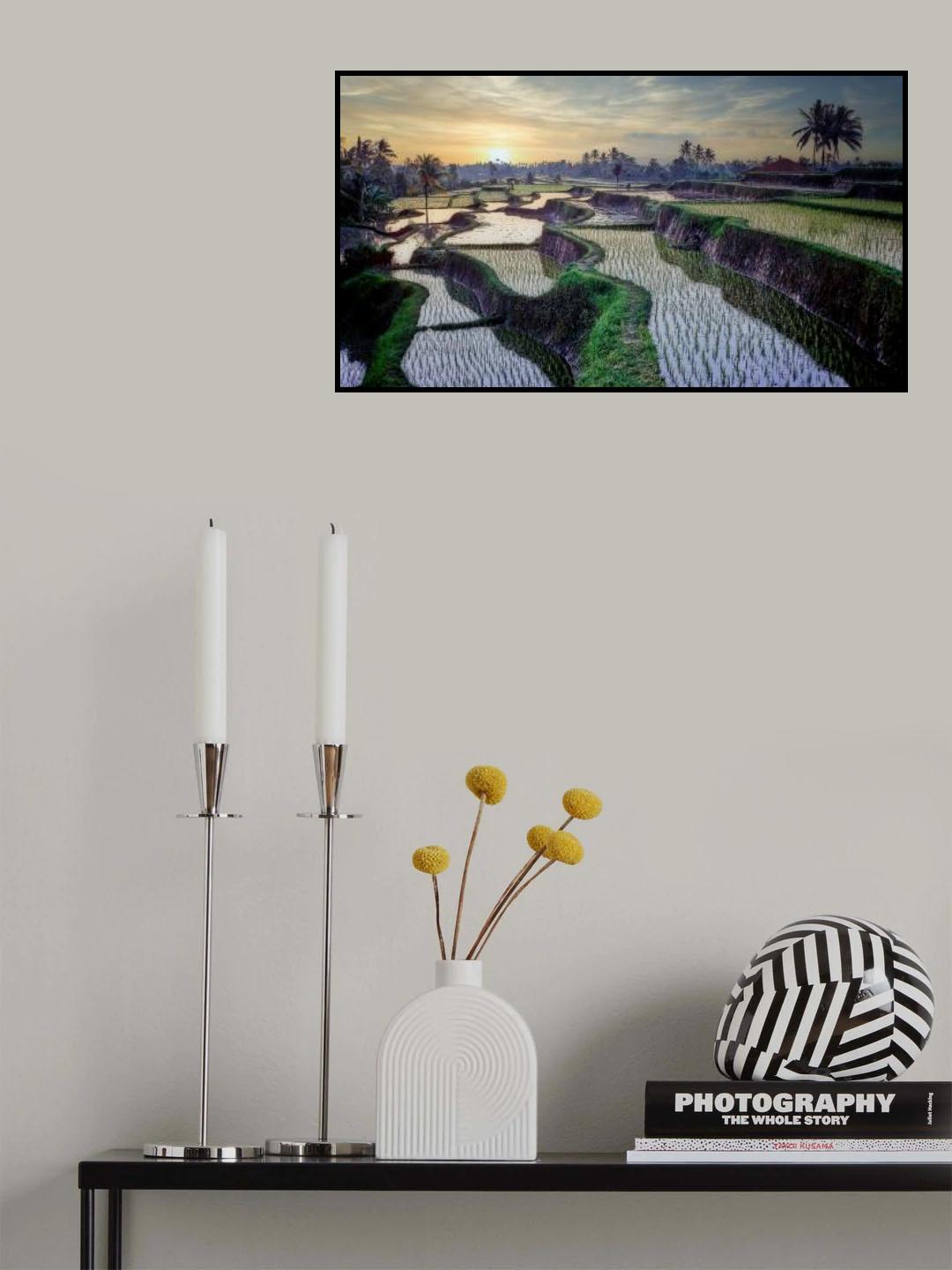 Paddy fields forever Poster och Canvastavla