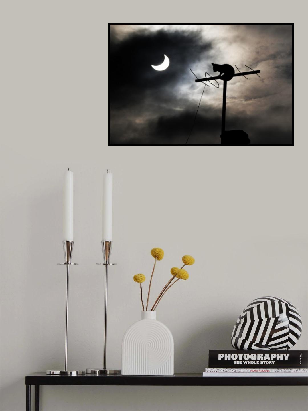 There is nothing new under the sun Poster och Canvastavla