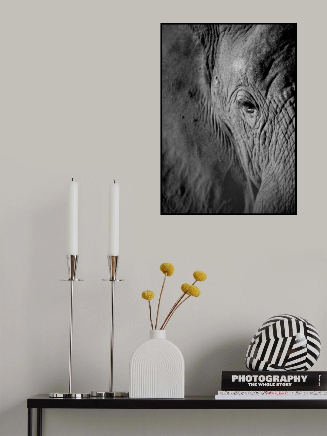 African Dream Poster och Canvastavla
