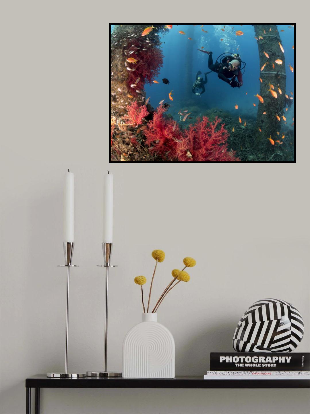 Scuba divers Poster och Canvastavla