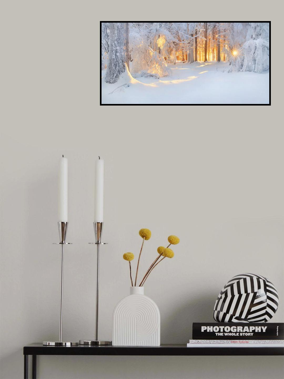 bright spots Poster och Canvastavla