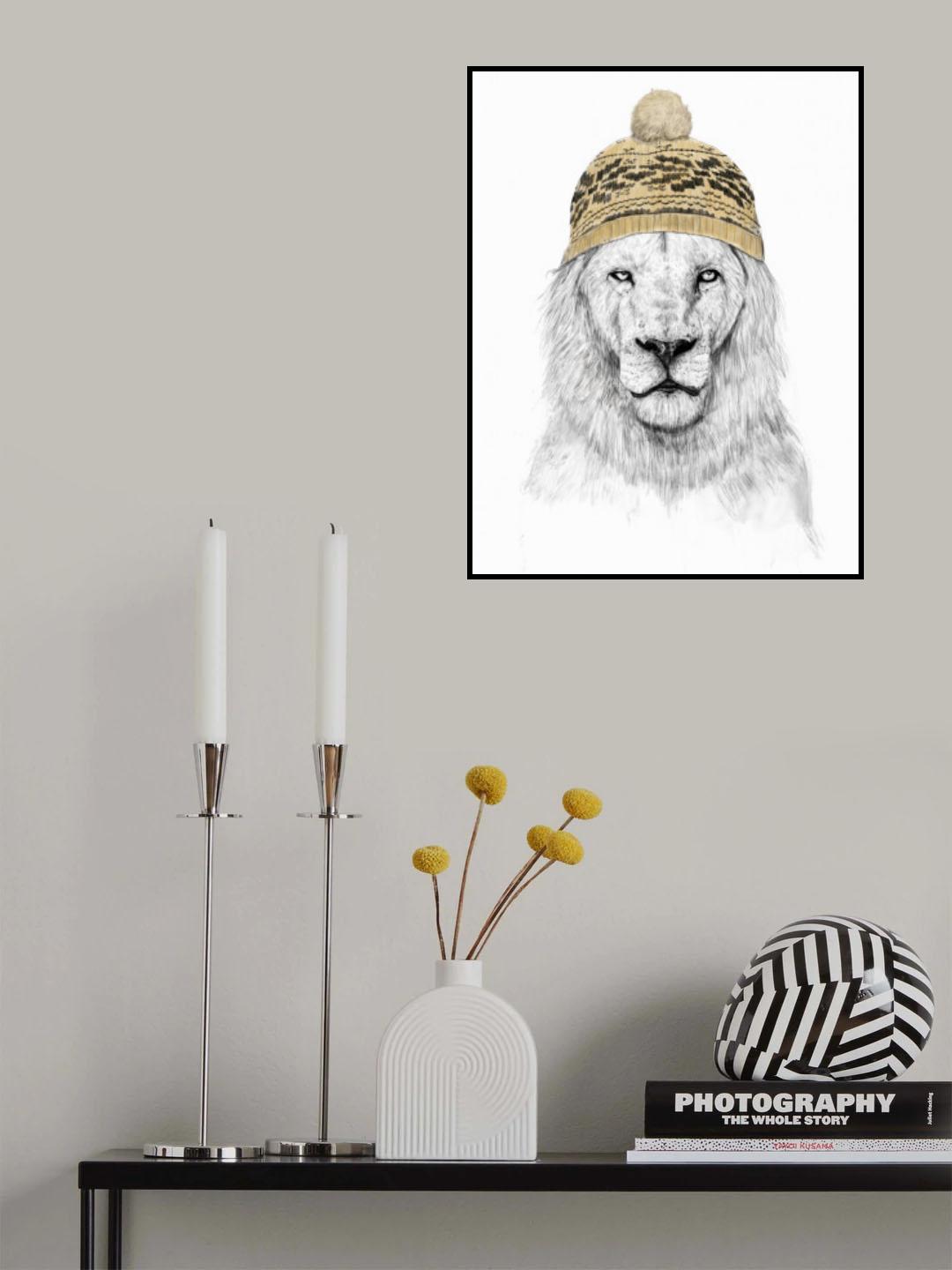 Winter Lion Poster och Canvastavla