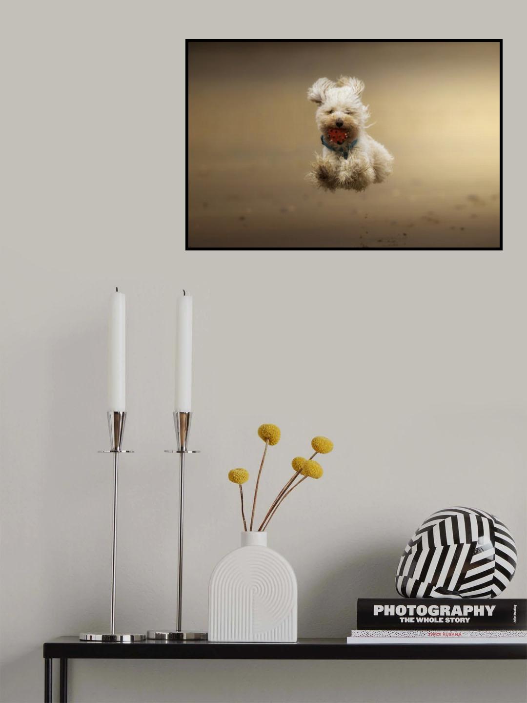Happy. Poster och Canvastavla