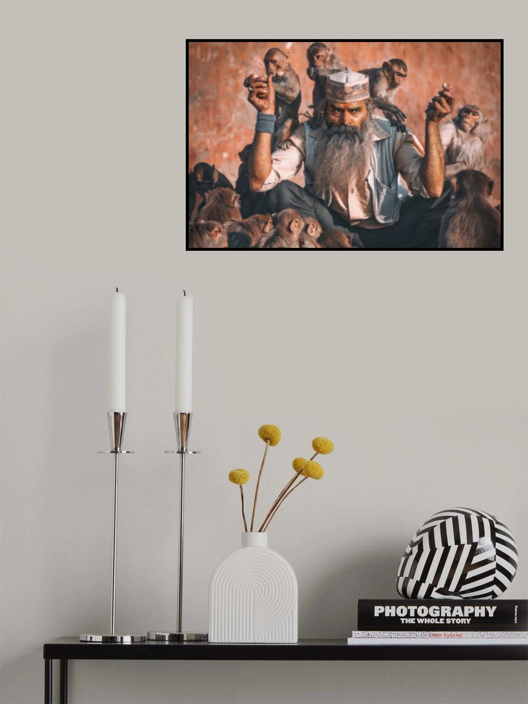 Feeding Monkeys Poster och Canvastavla