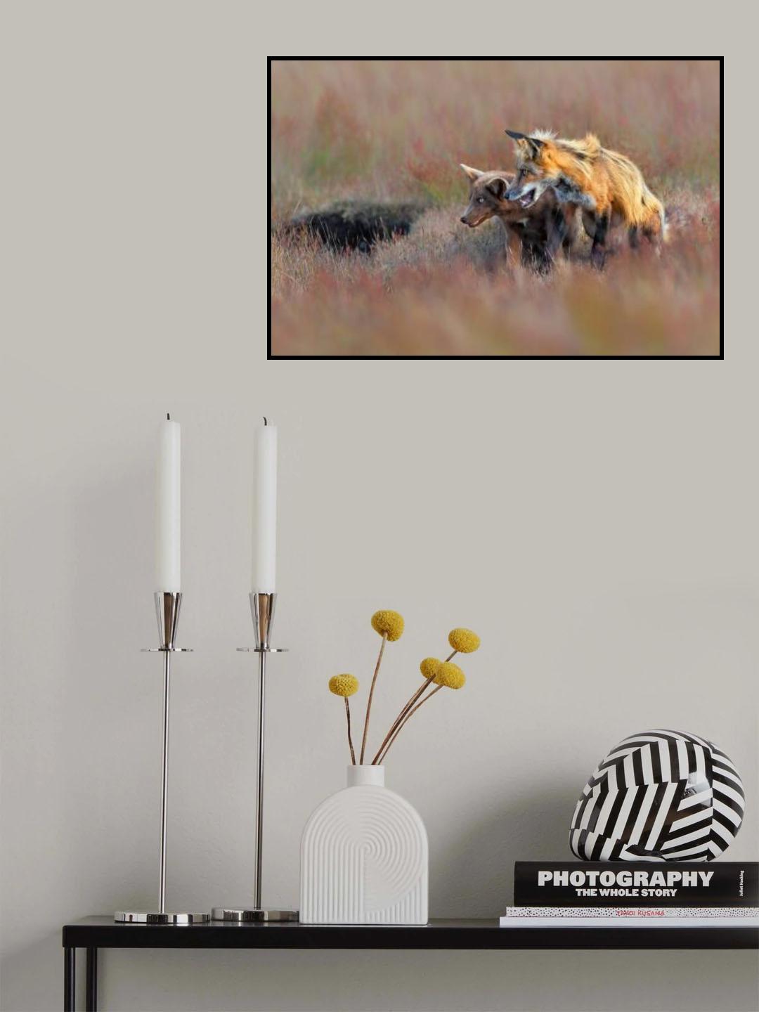 Like Father Like Son Poster och Canvastavla