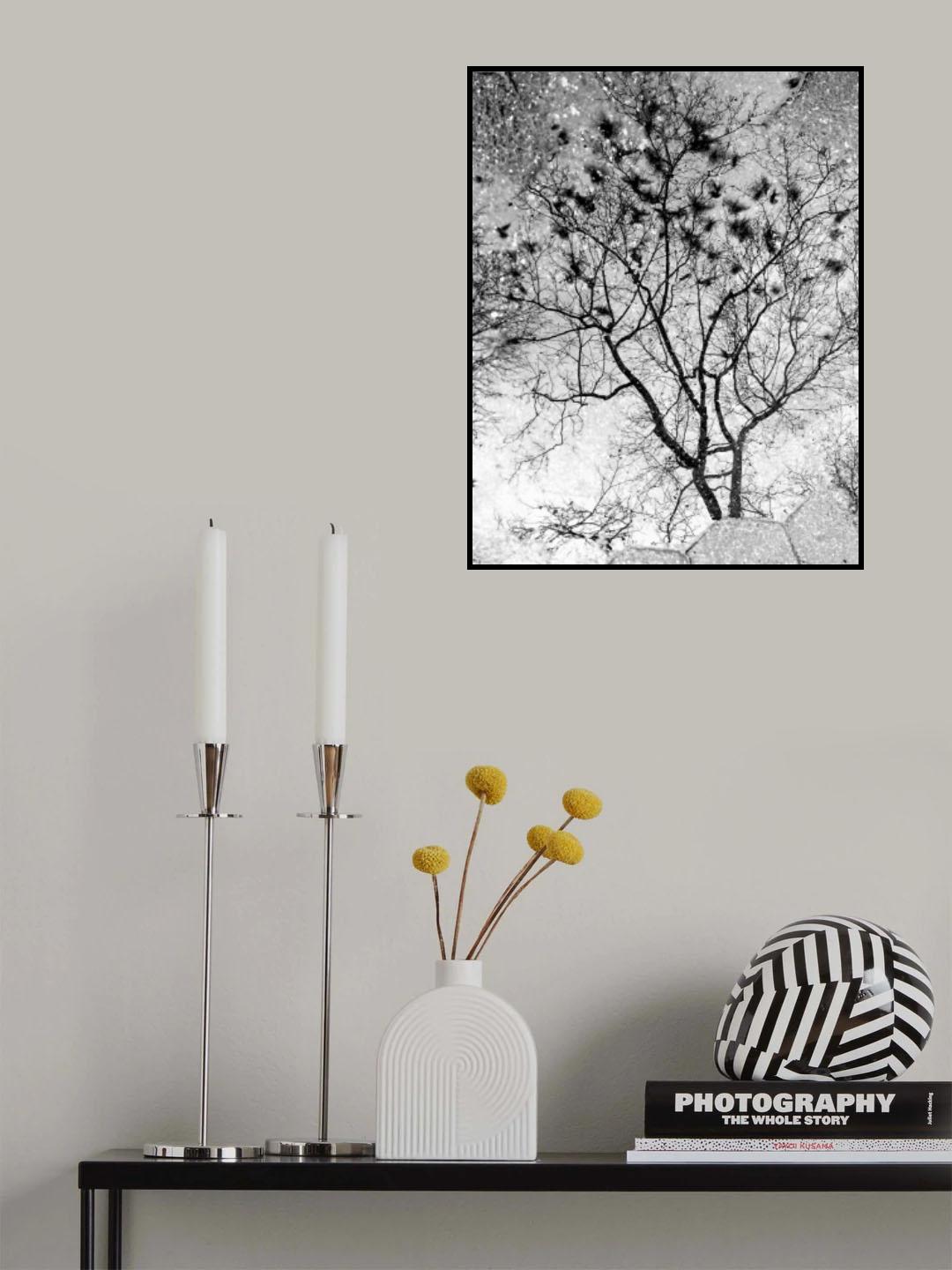 Pigeons in Flight Poster och Canvastavla
