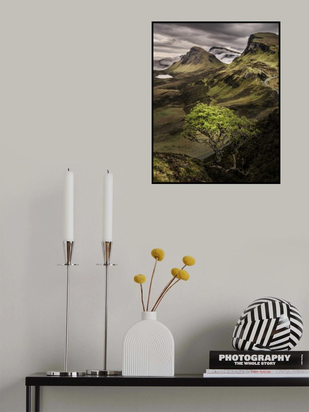 Tree In Quirange Poster och Canvastavla