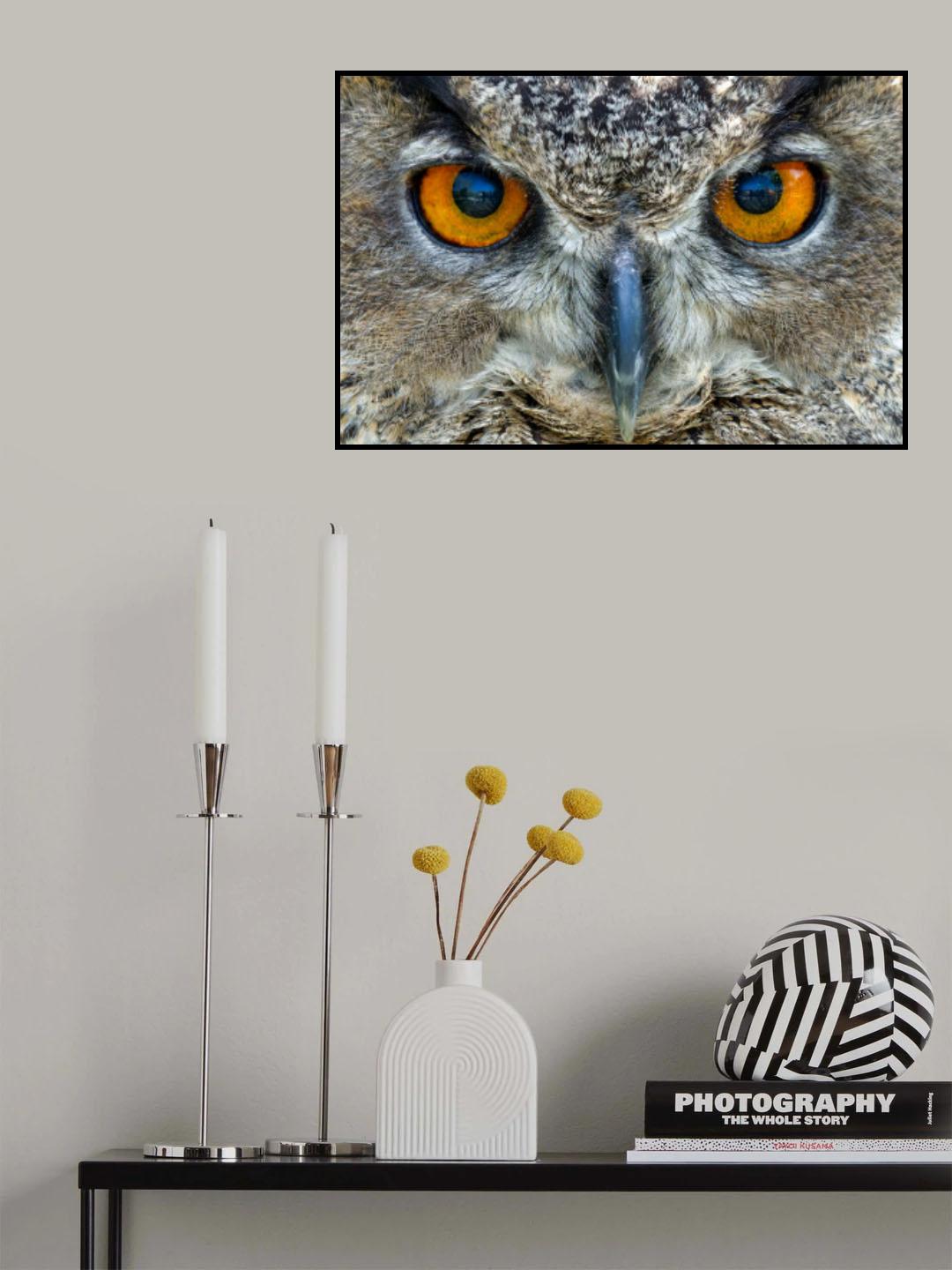 Look Poster och Canvastavla