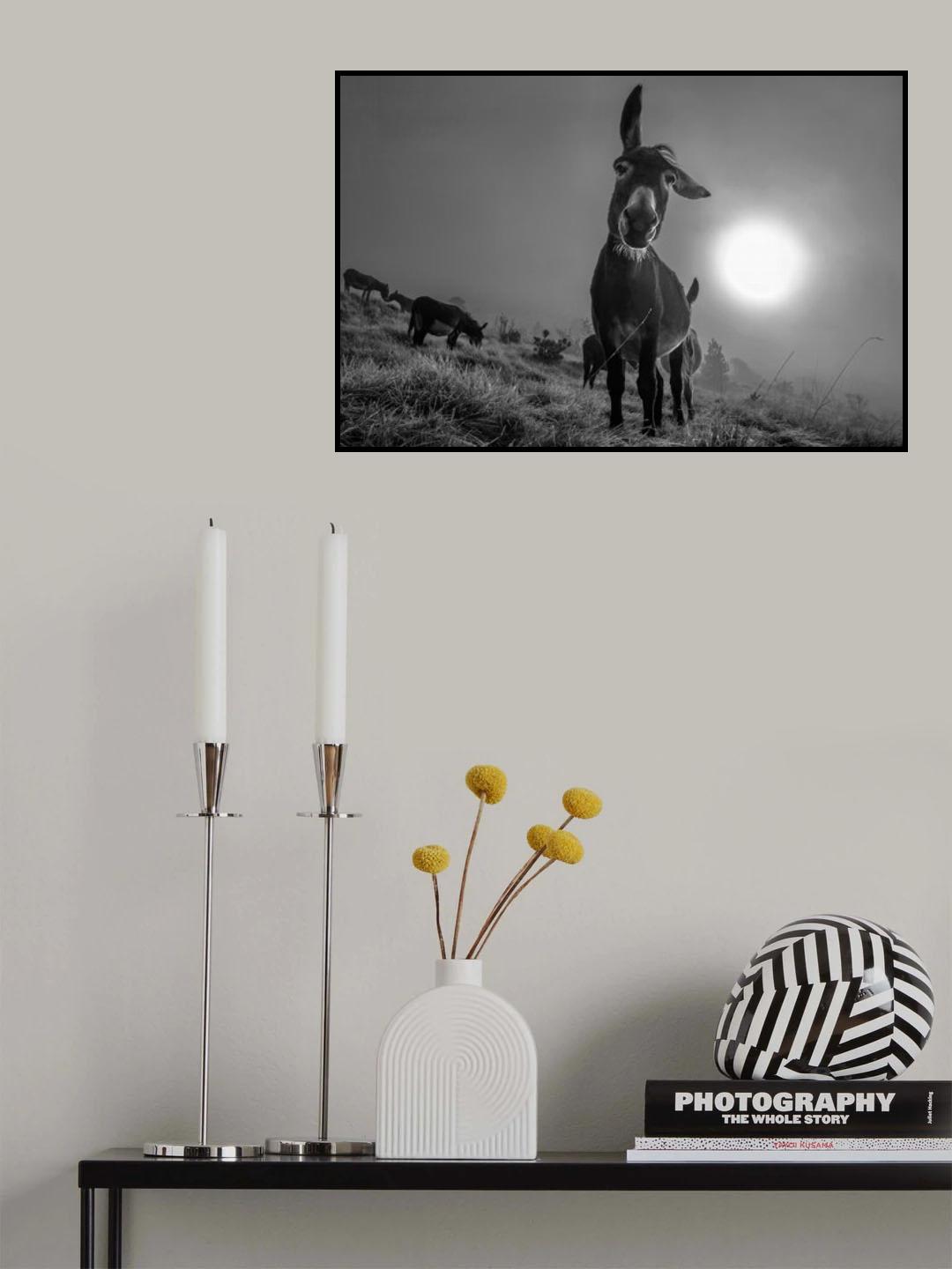 Friend Poster och Canvastavla