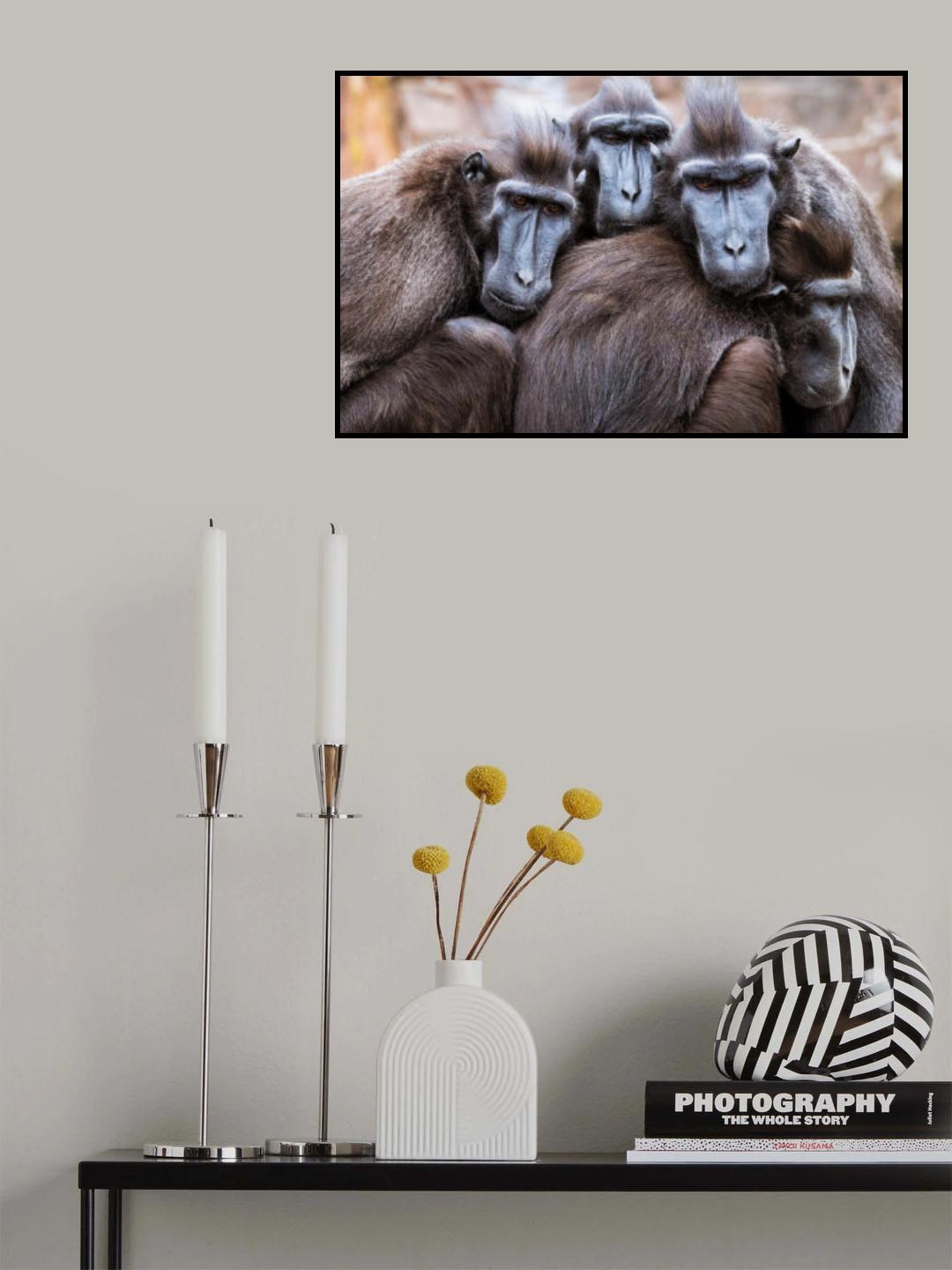 Cold Poster och Canvastavla