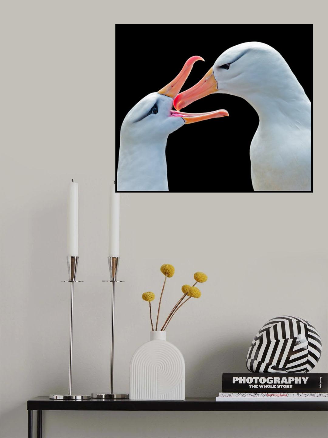 Love Poster och Canvastavla