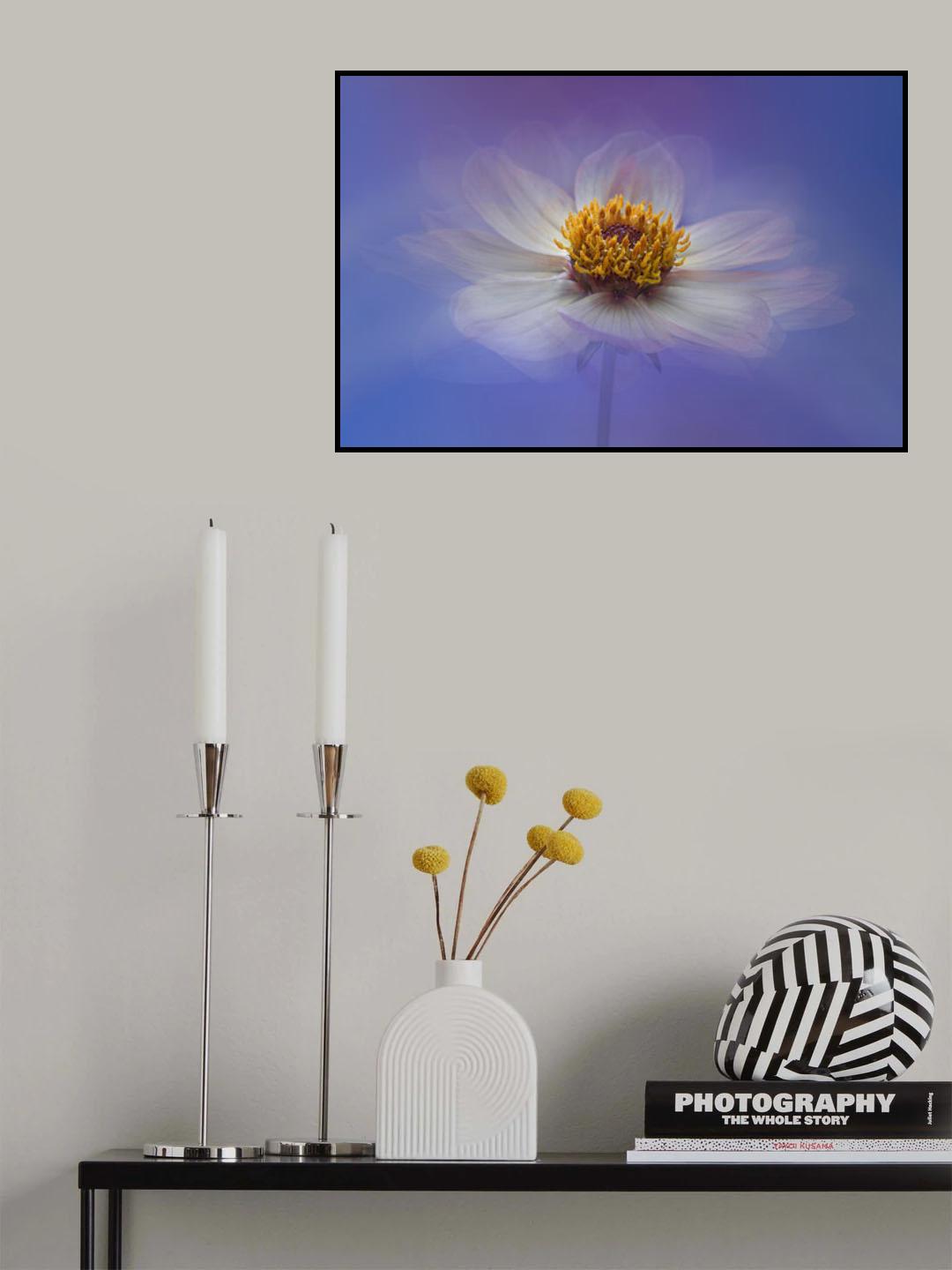 Daydream Poster och Canvastavla