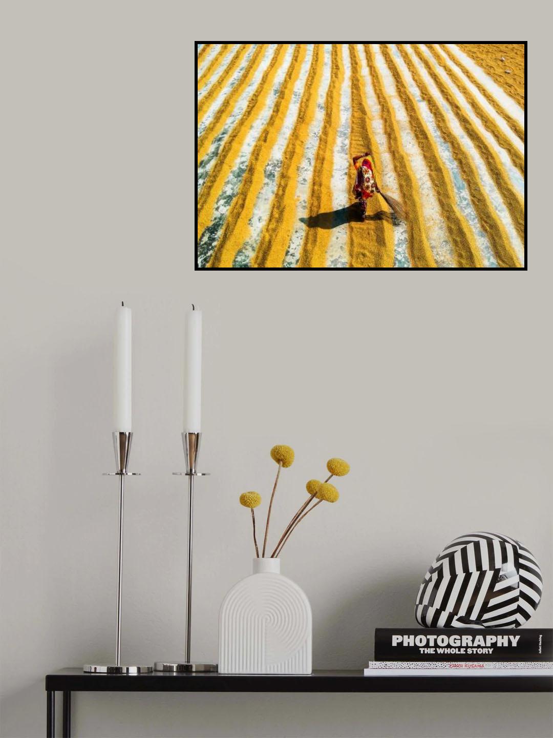 Life with a broomstick Poster och Canvastavla