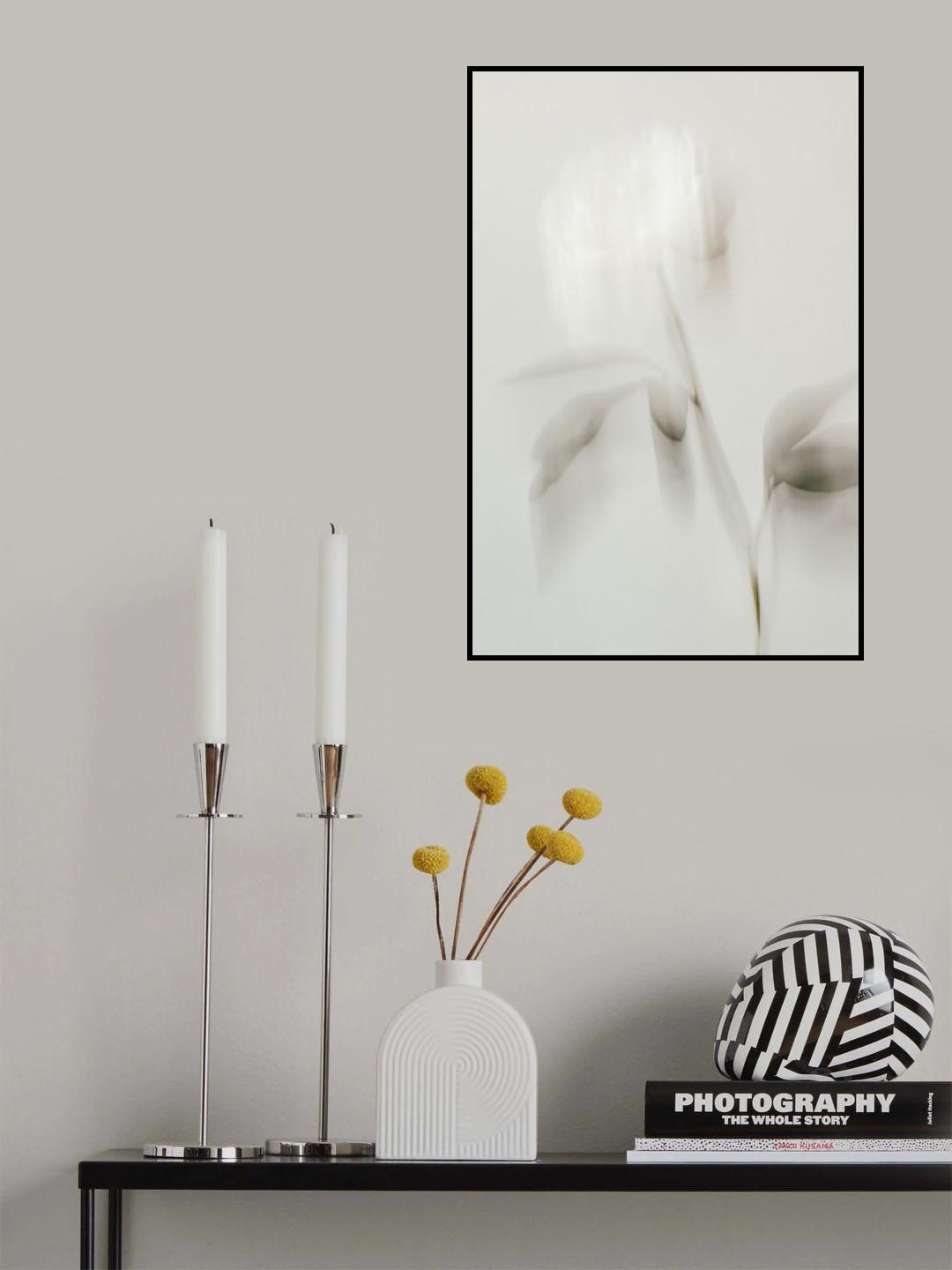 Peony 06 Poster och Canvastavla