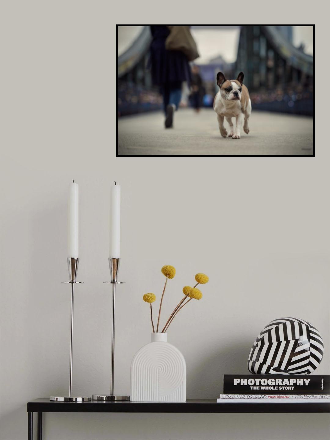 Strangers Poster och Canvastavla