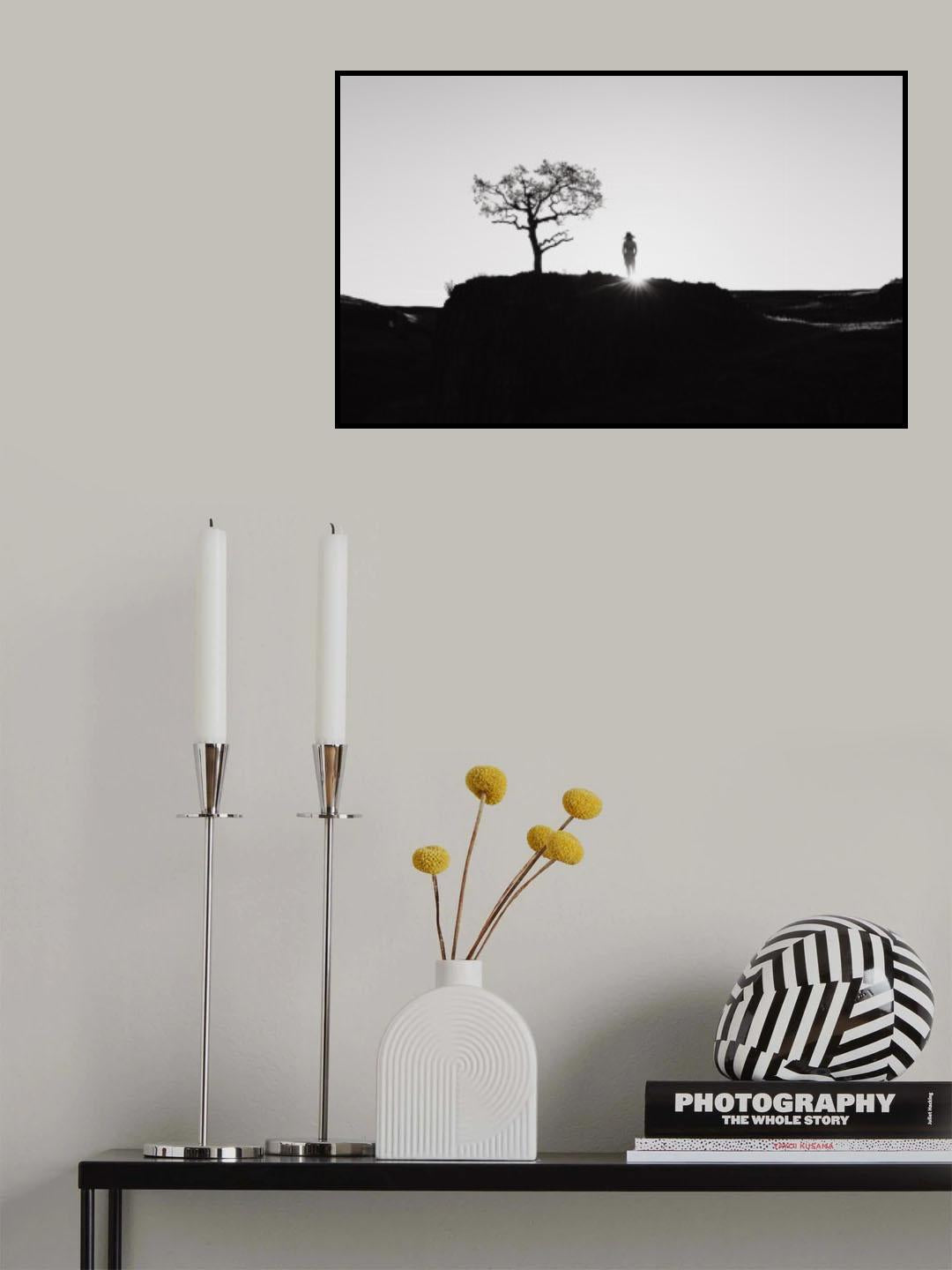 The sun just raised Poster och Canvastavla