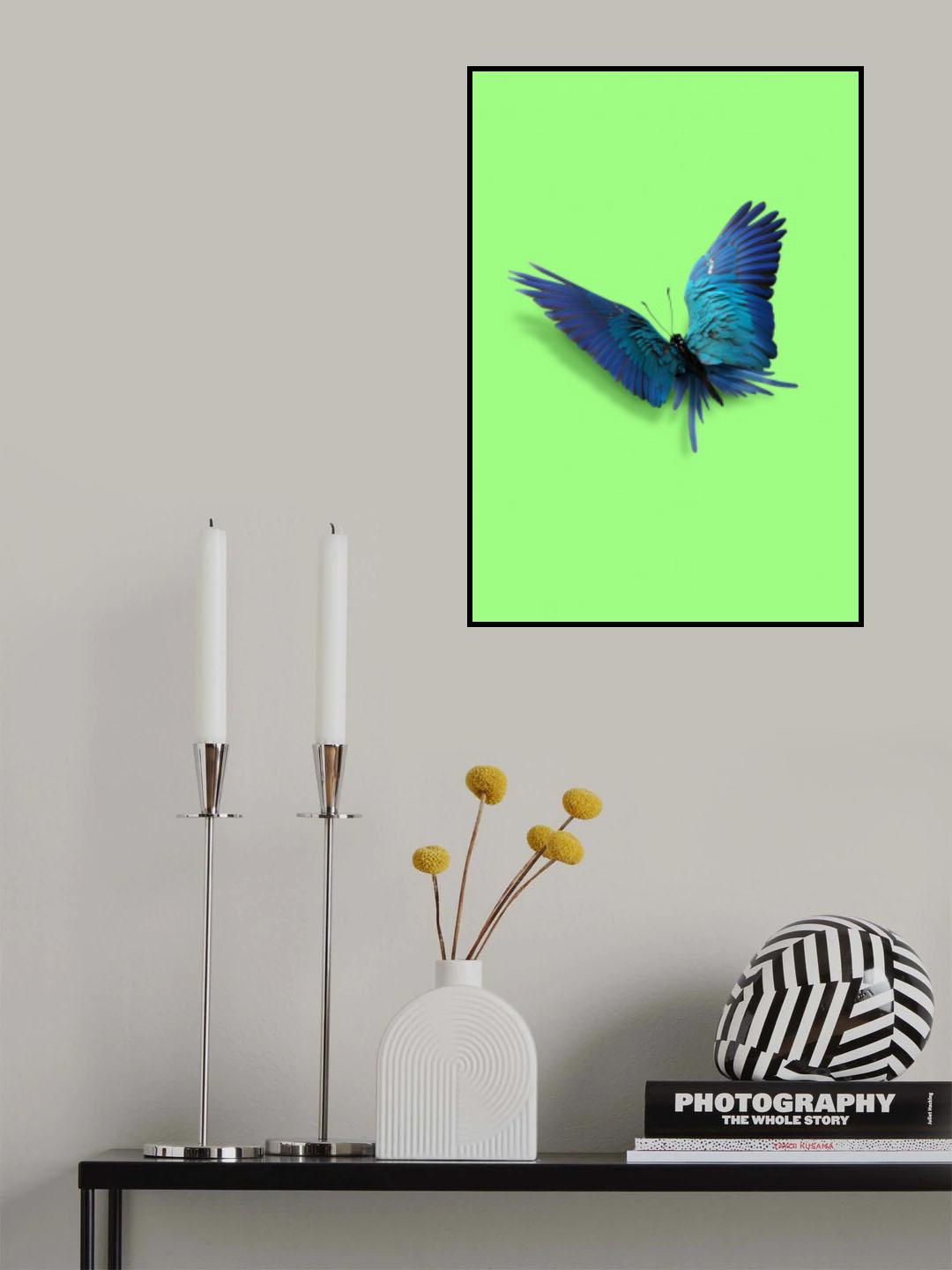 Parrot Butterfly Poster och Canvastavla