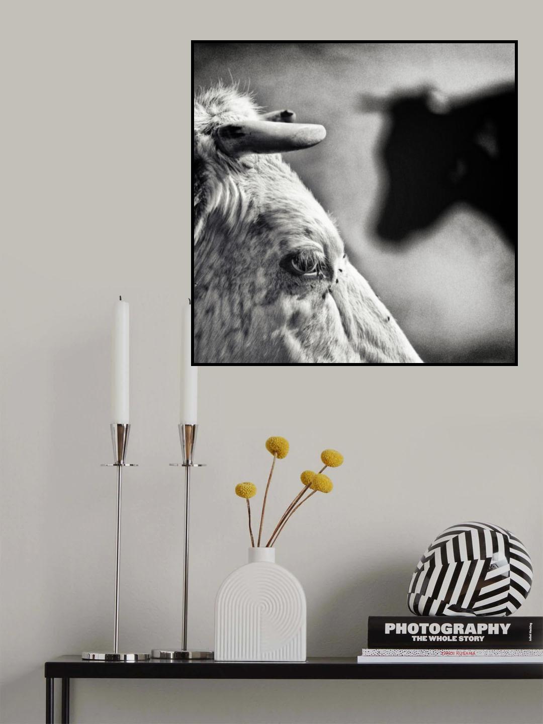 B & W Poster och Canvastavla