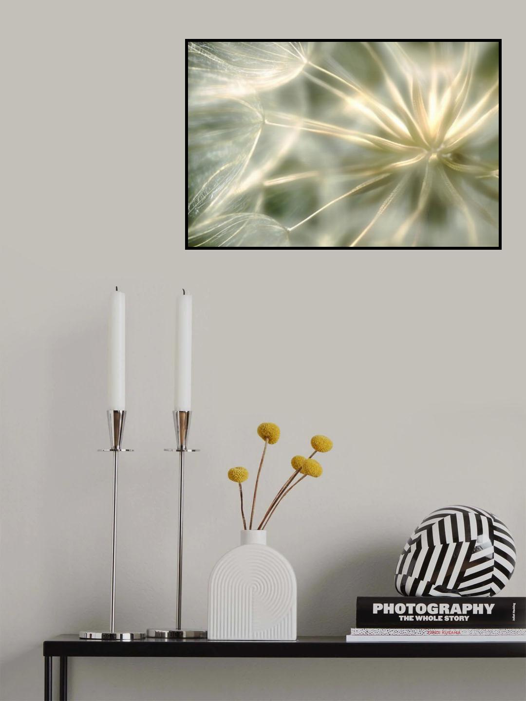 coeur de velour ... Poster och Canvastavla