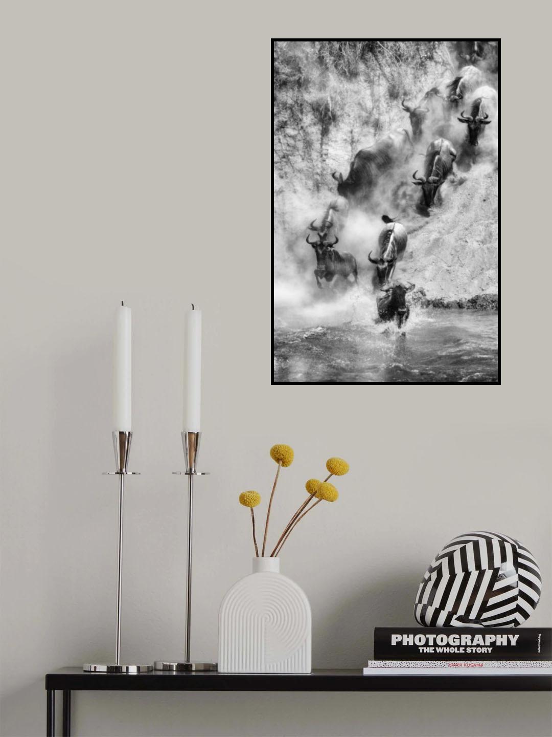 Lets Dive Poster och Canvastavla