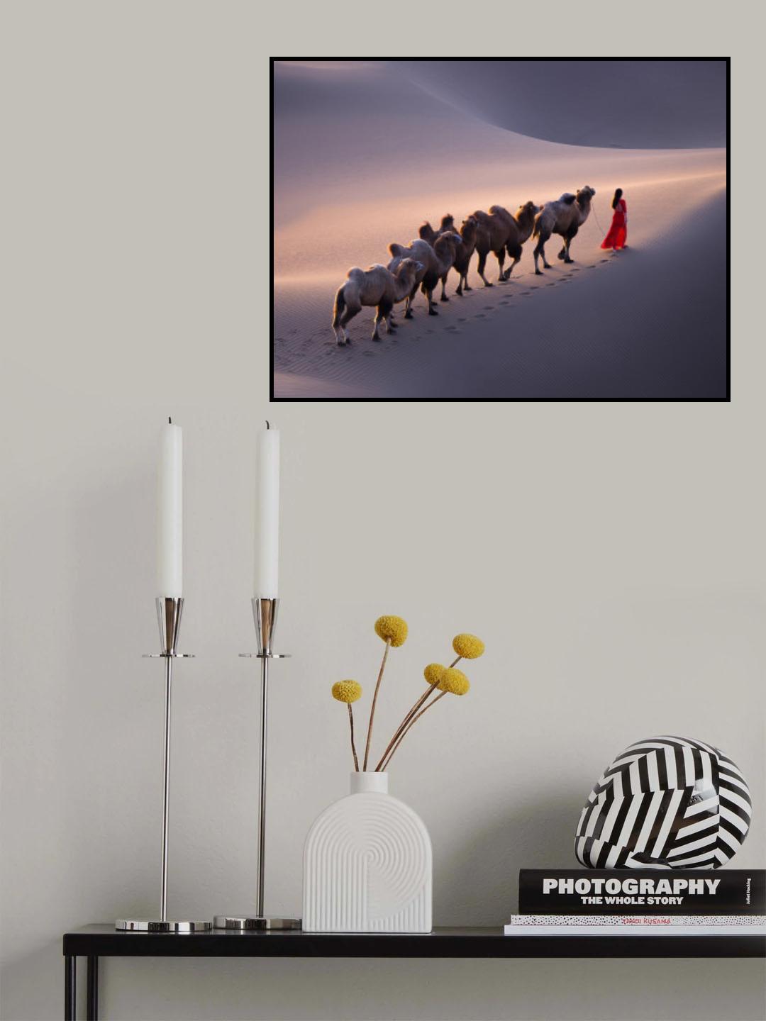 沙漠驼影 Poster och Canvastavla
