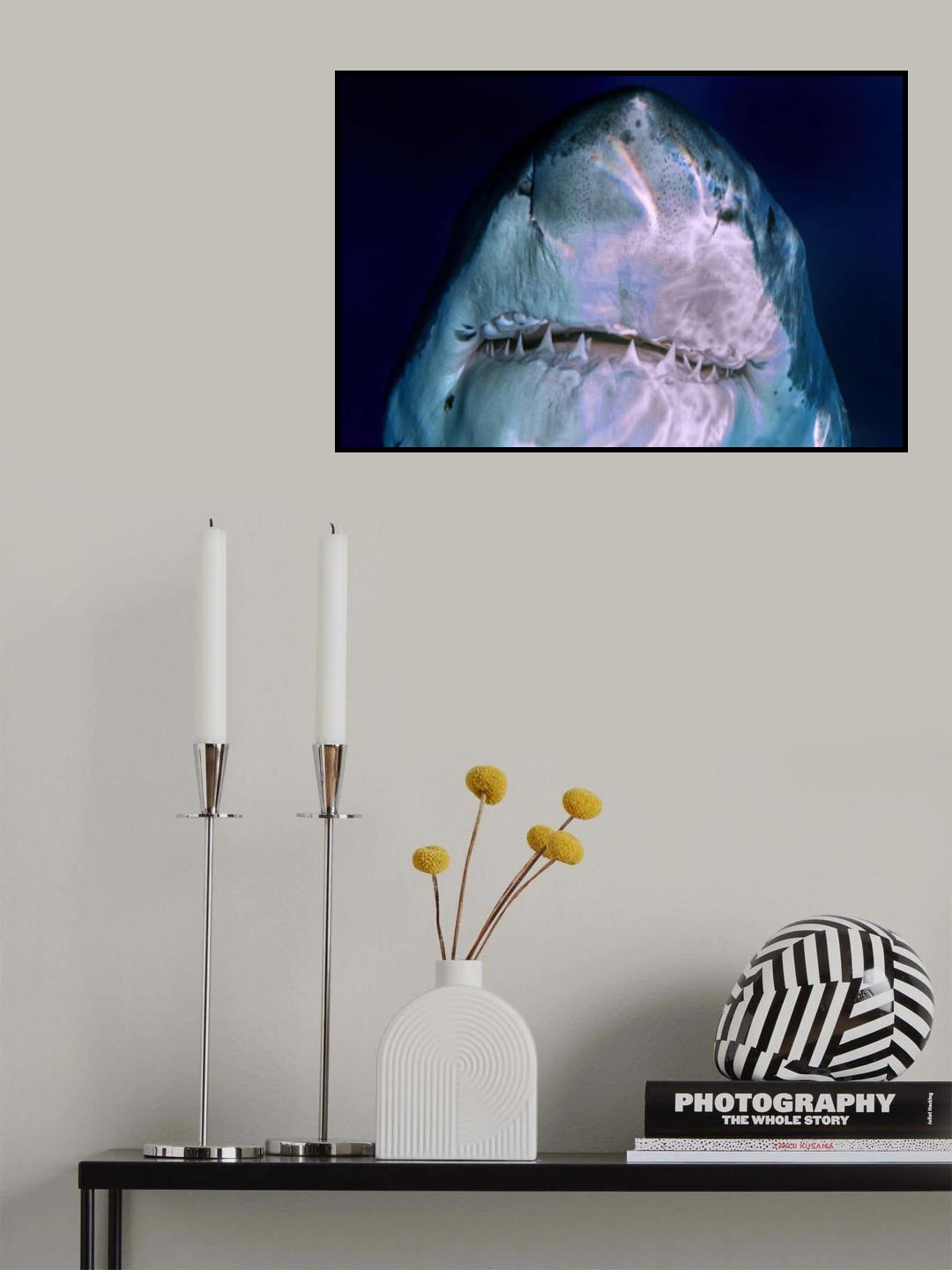 White Pearl teeth smile Poster och Canvastavla