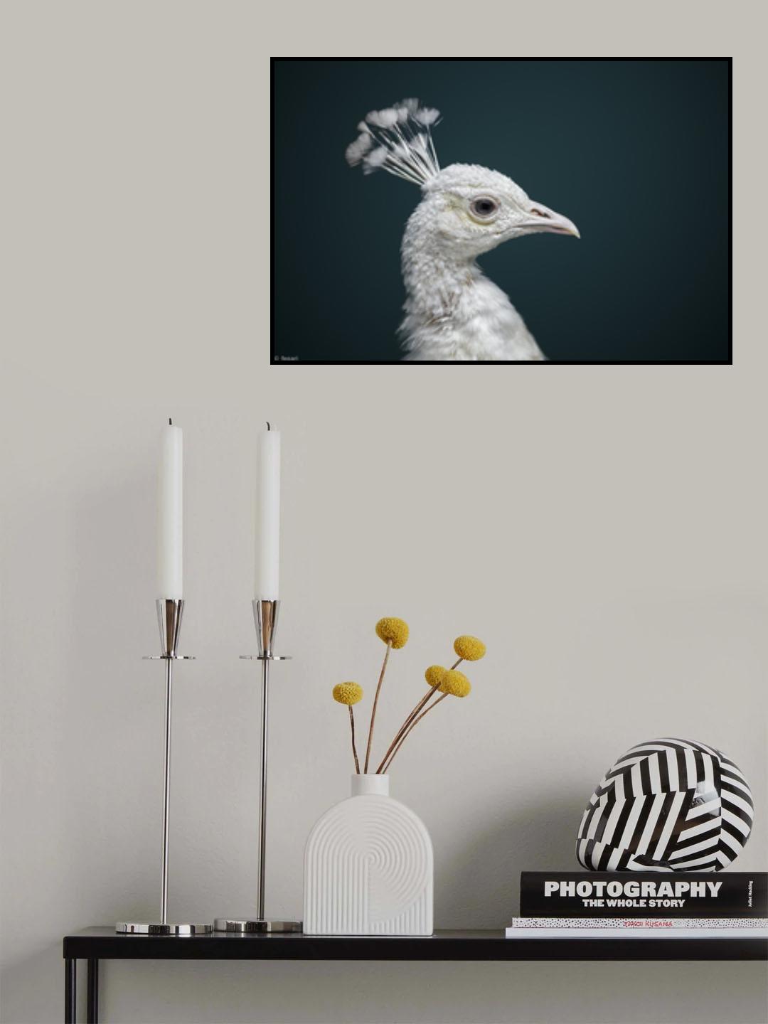 Leucos Poster och Canvastavla