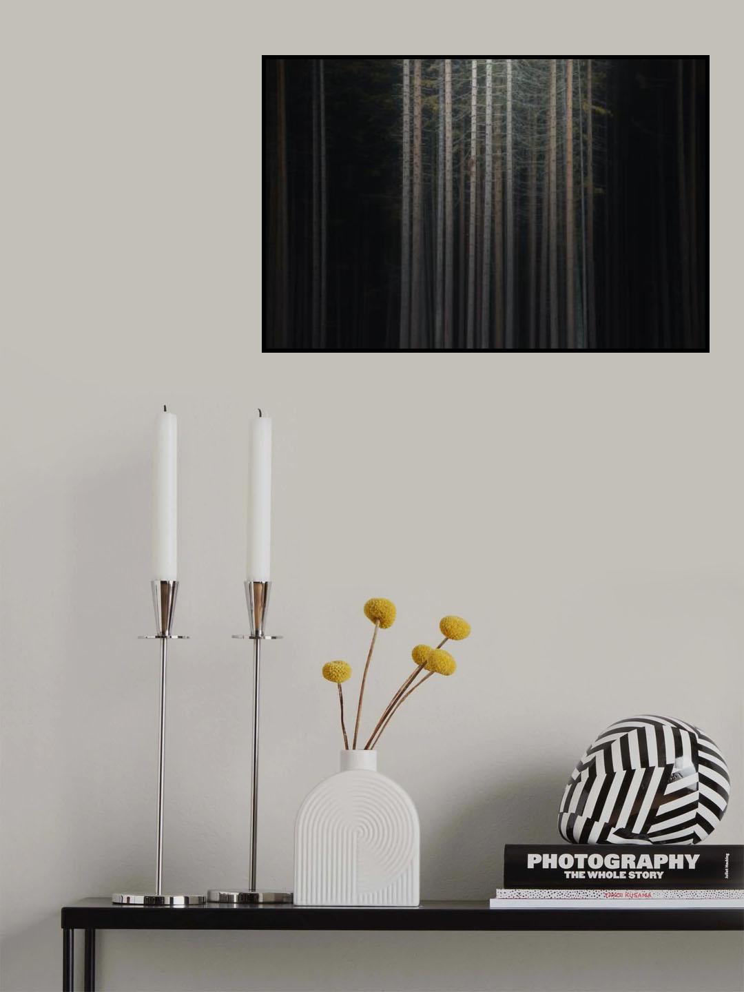 Second Skin Poster och Canvastavla
