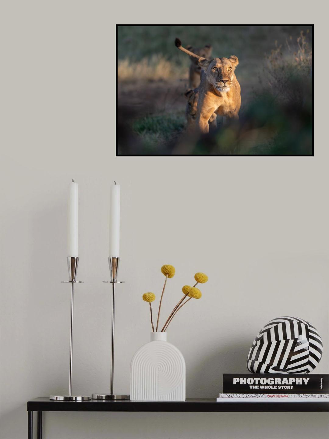 Perfect light Poster och Canvastavla