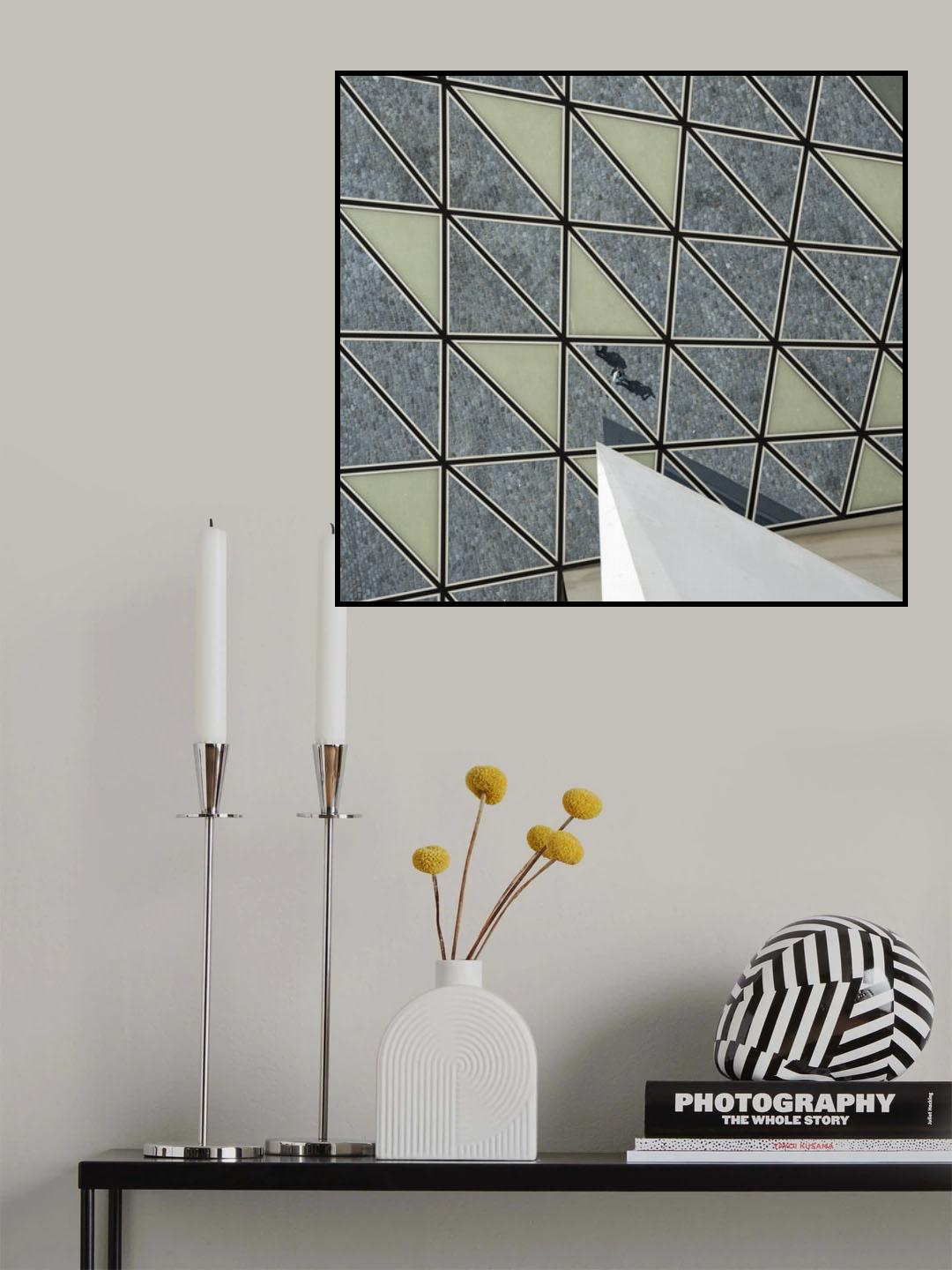 Captured shadows Poster och Canvastavla