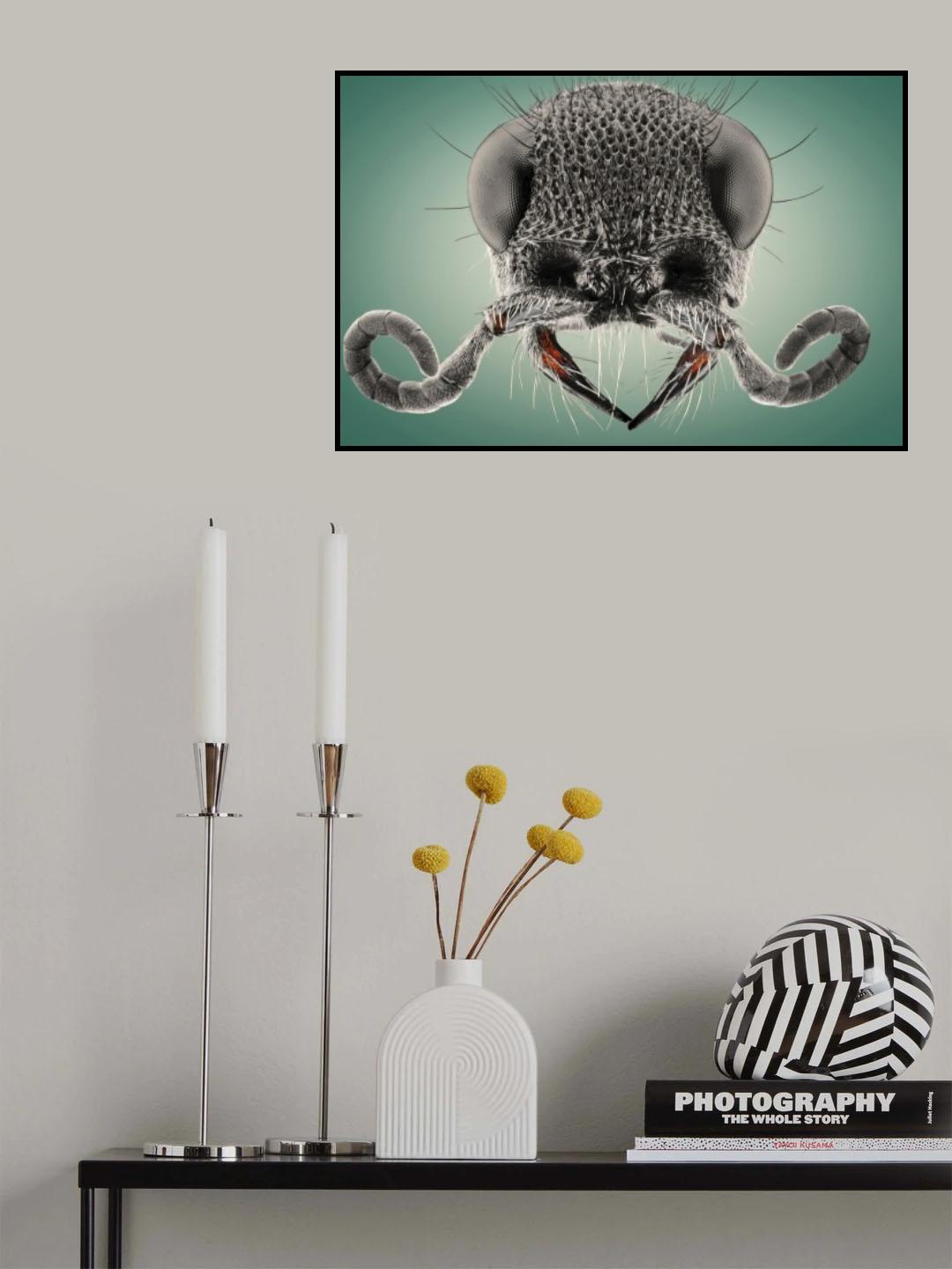 The Mustache Poster och Canvastavla
