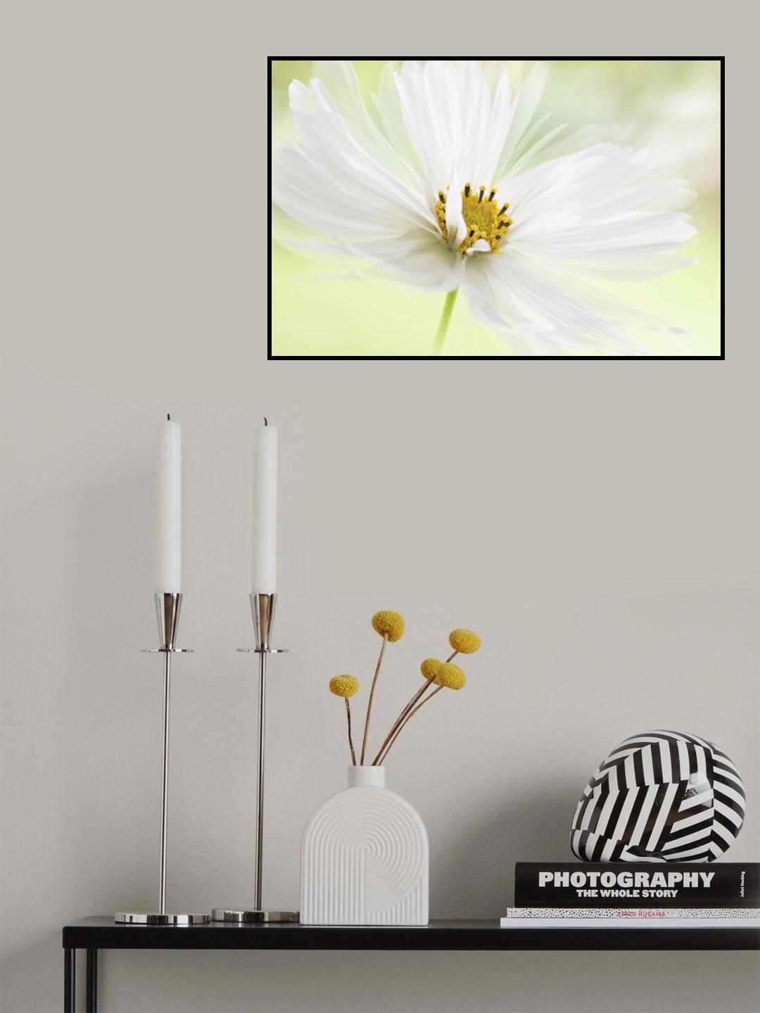 Winter White Poster och Canvastavla