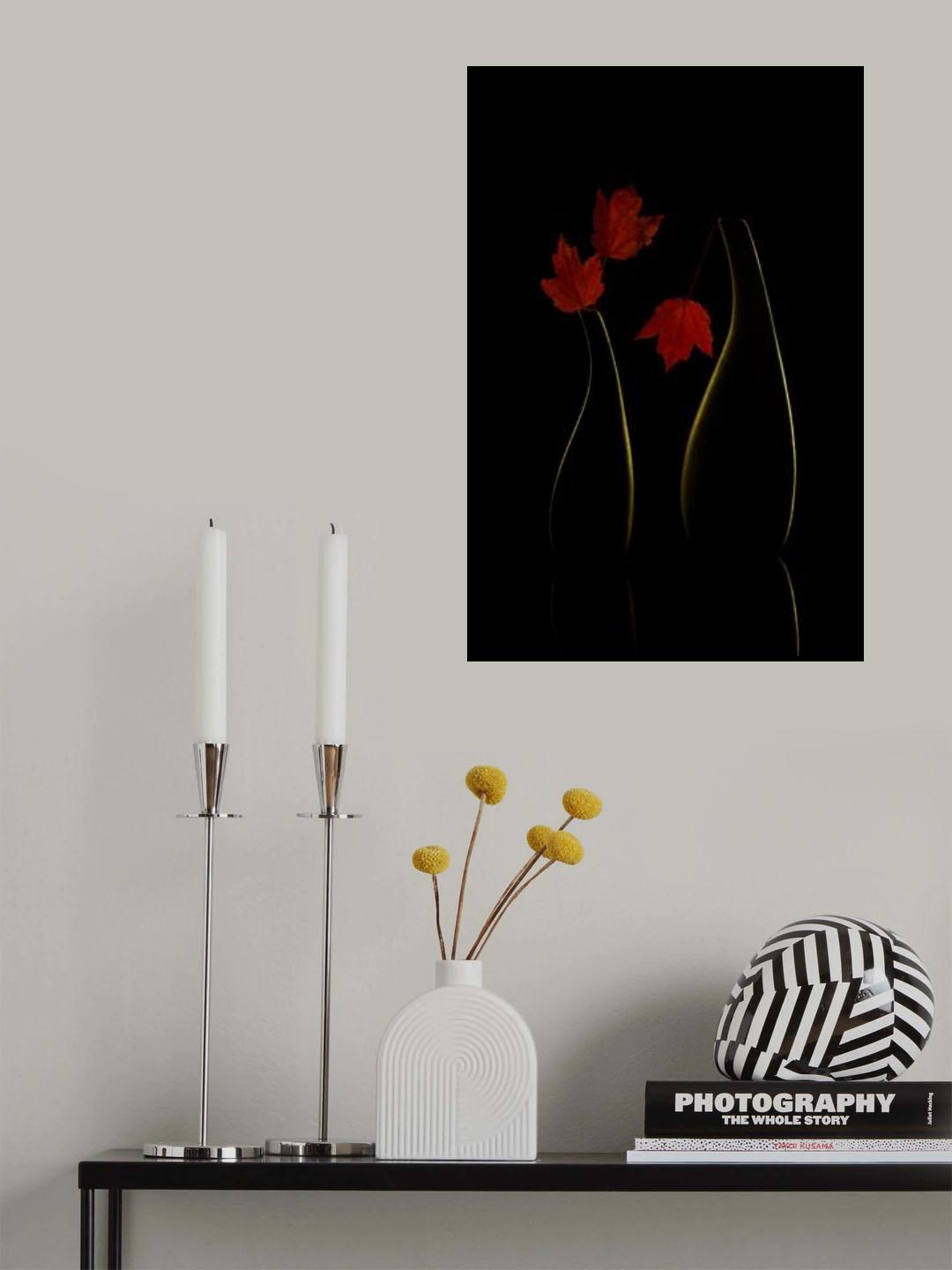 Autumn color Poster och Canvastavla