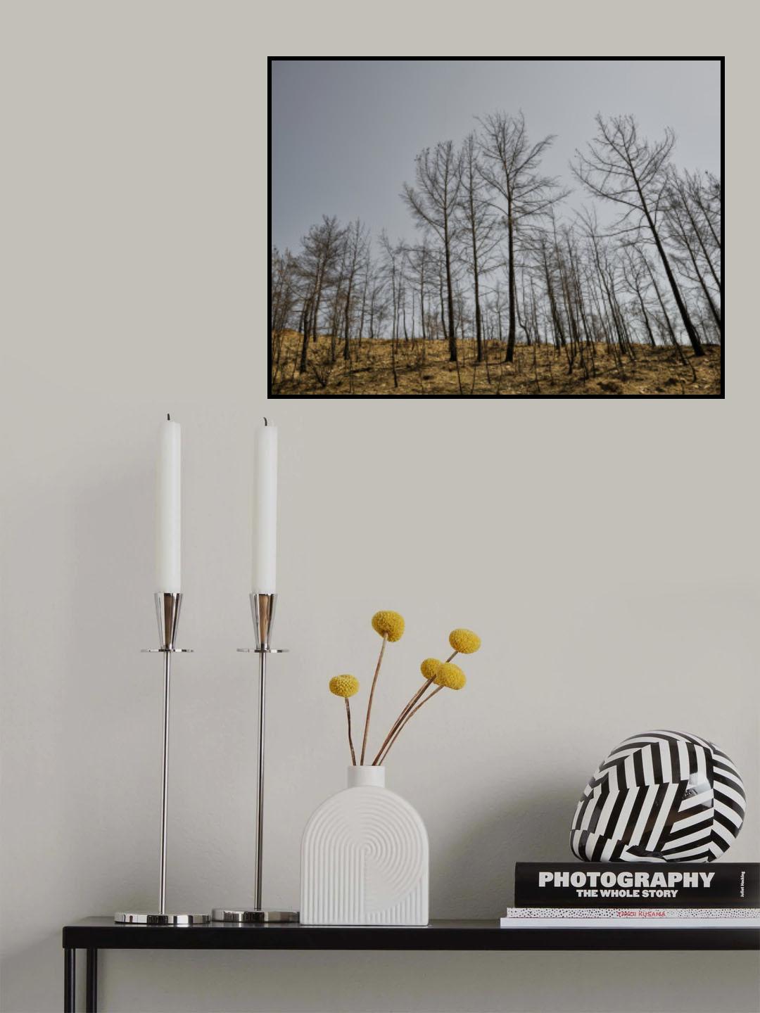 burnt trees and sky background Poster och Canvastavla