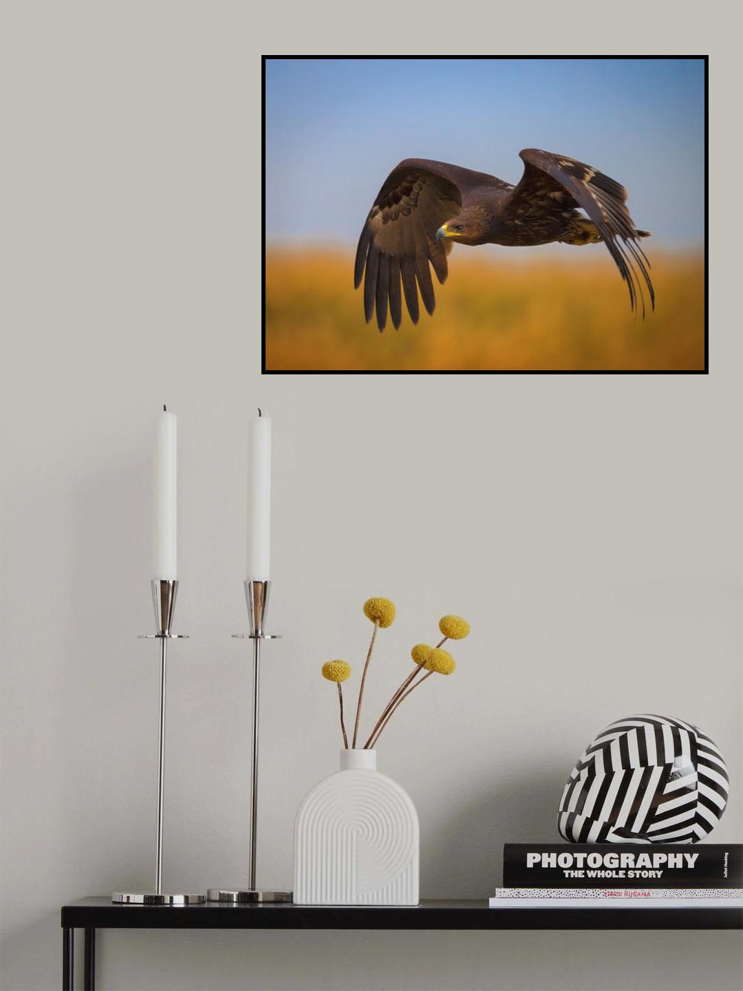 I'M IN FocuS Poster och Canvastavla