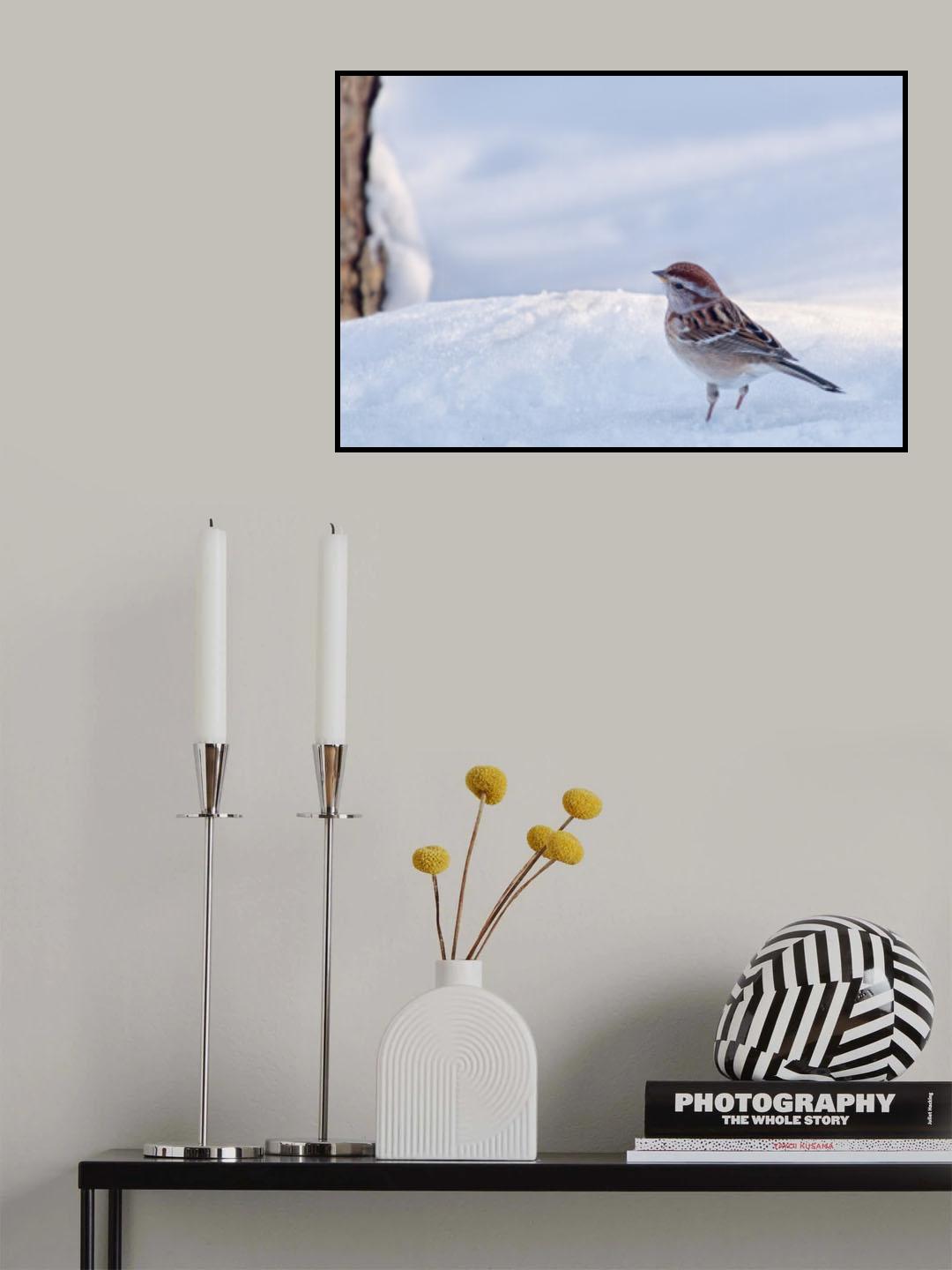 American Tree Sparrow on a Winter Day Poster och Canvastavla