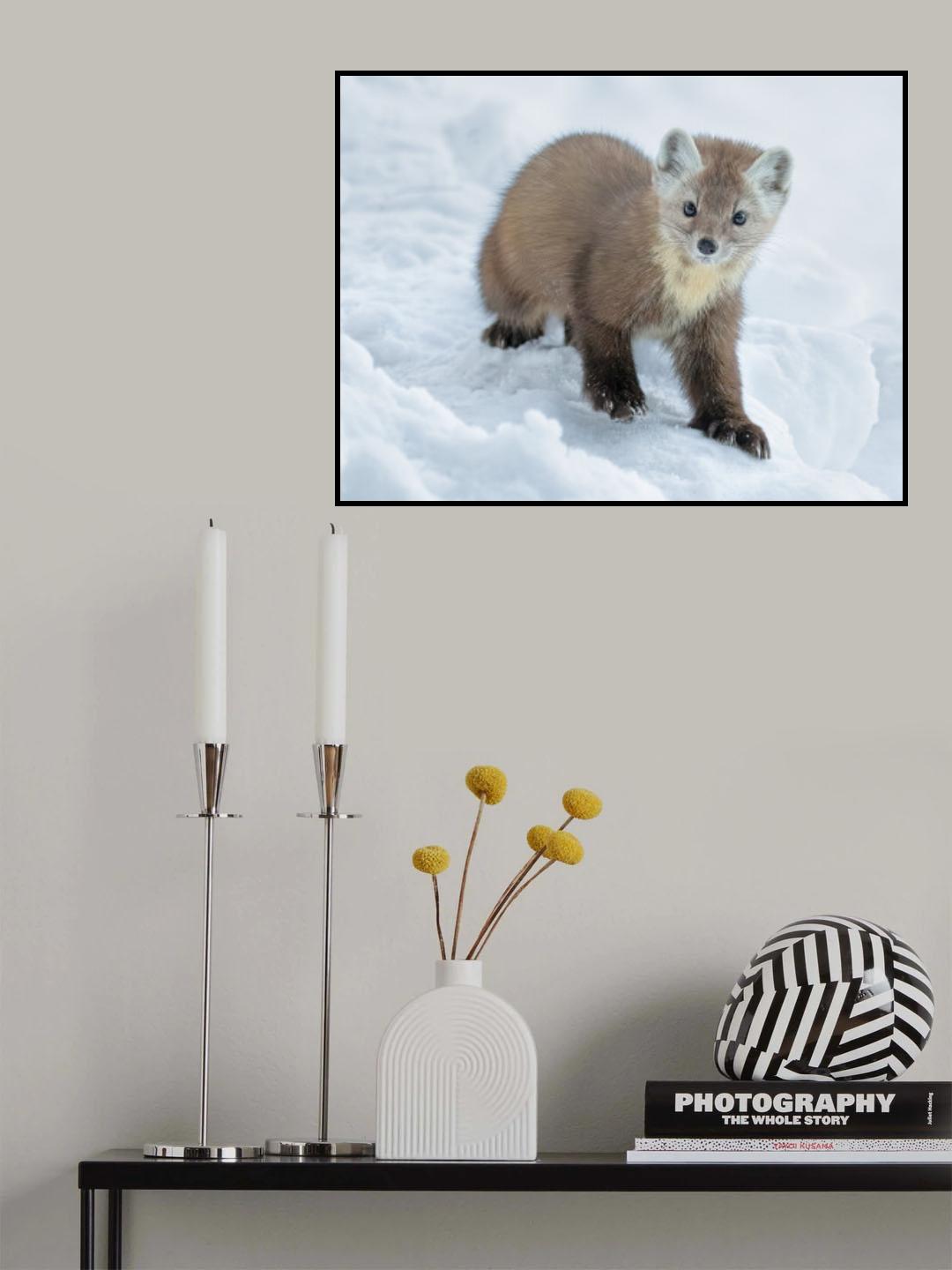 Curious Poster och Canvastavla
