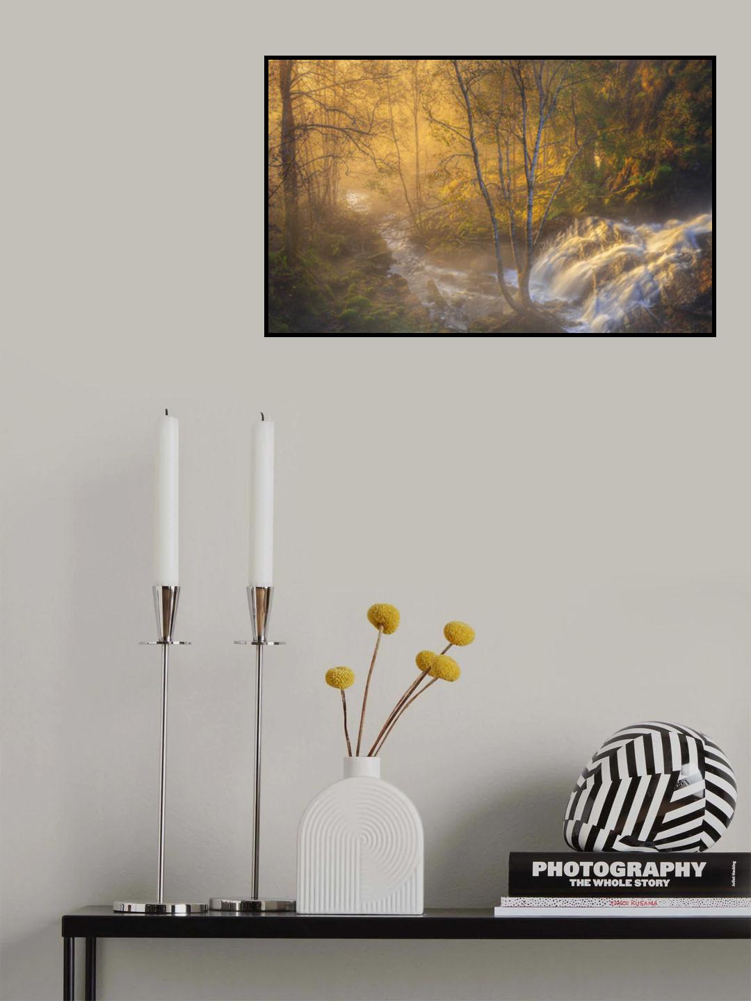 First light Poster och Canvastavla