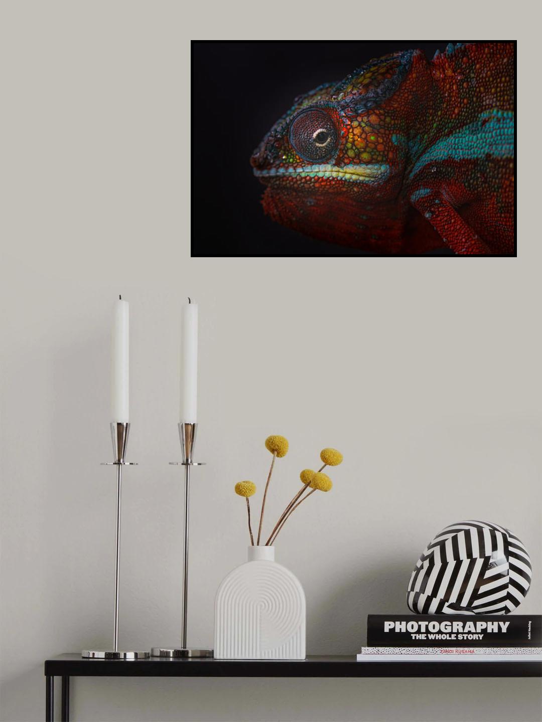 Red Chamie Poster och Canvastavla