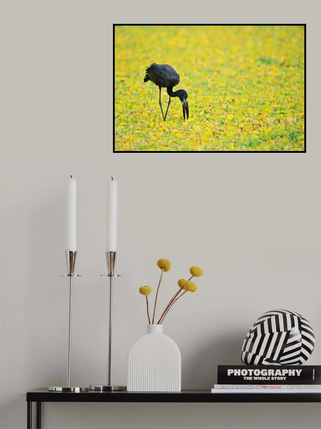 Yellow Pond Poster och Canvastavla