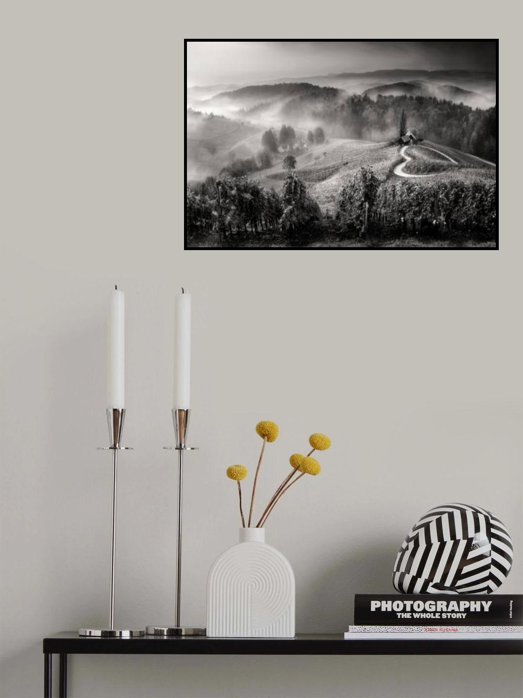 Wine road Poster och Canvastavla
