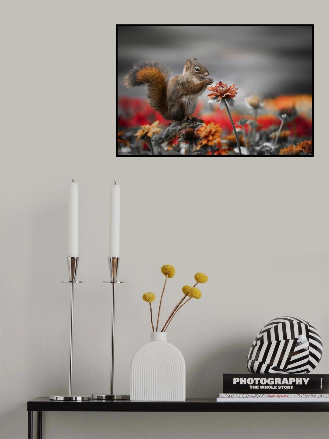 Lovely Squirrel Poster och Canvastavla