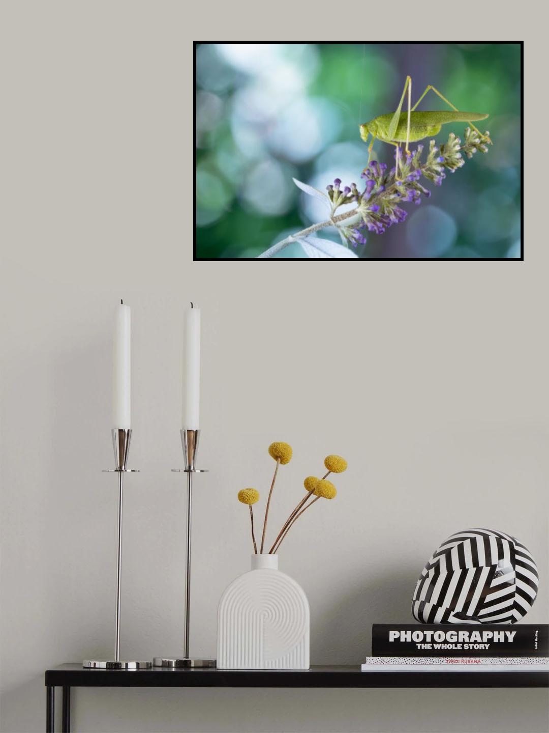 Bubbles Poster och Canvastavla