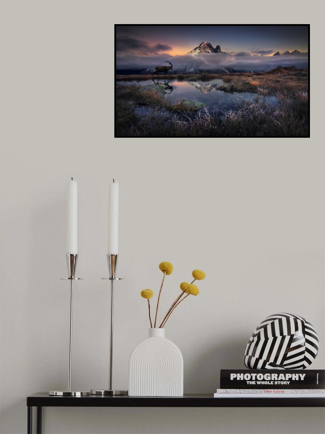 Evening walk Poster och Canvastavla